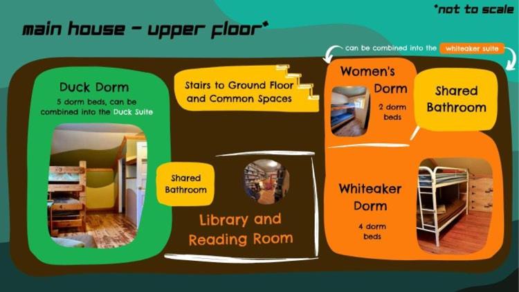 Bunk Bed in Mixed Dormitory Room photo 1