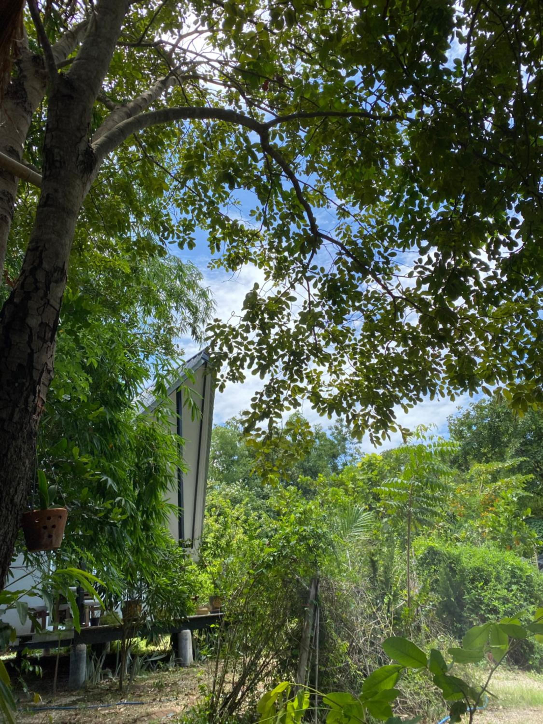 Chalet - Photo 11