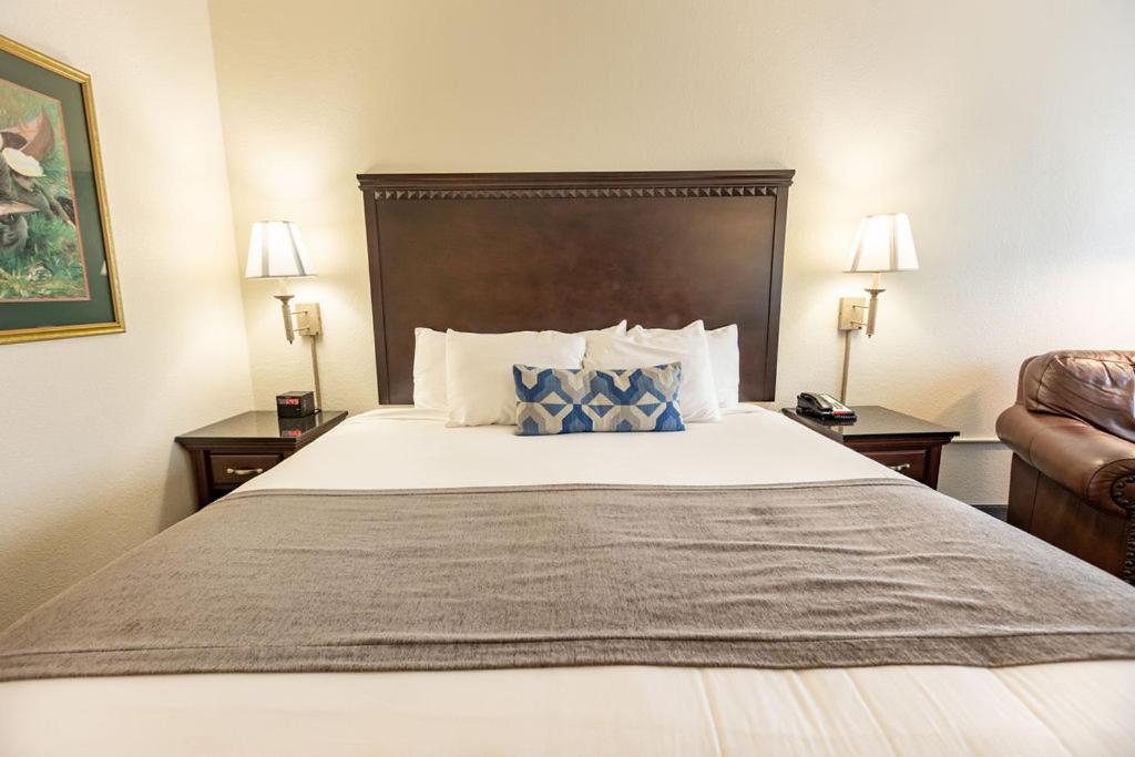 King Room - Photo 1