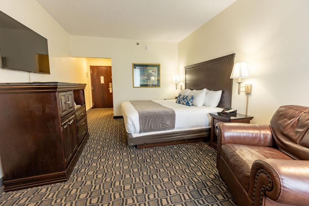 King Room - Photo 16