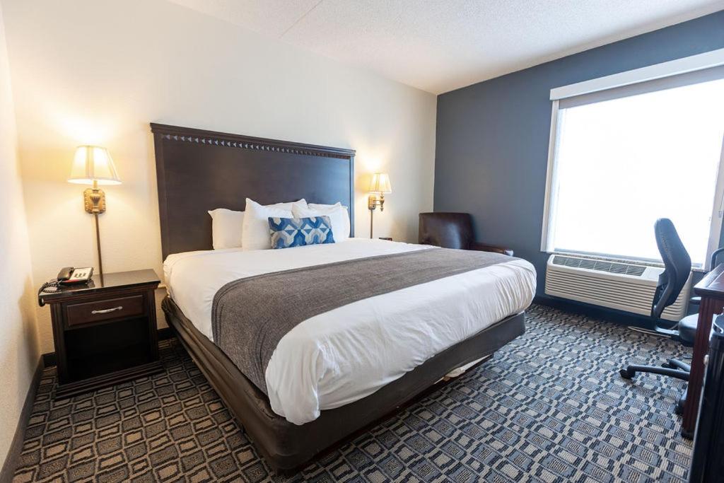 King Room - Photo 18