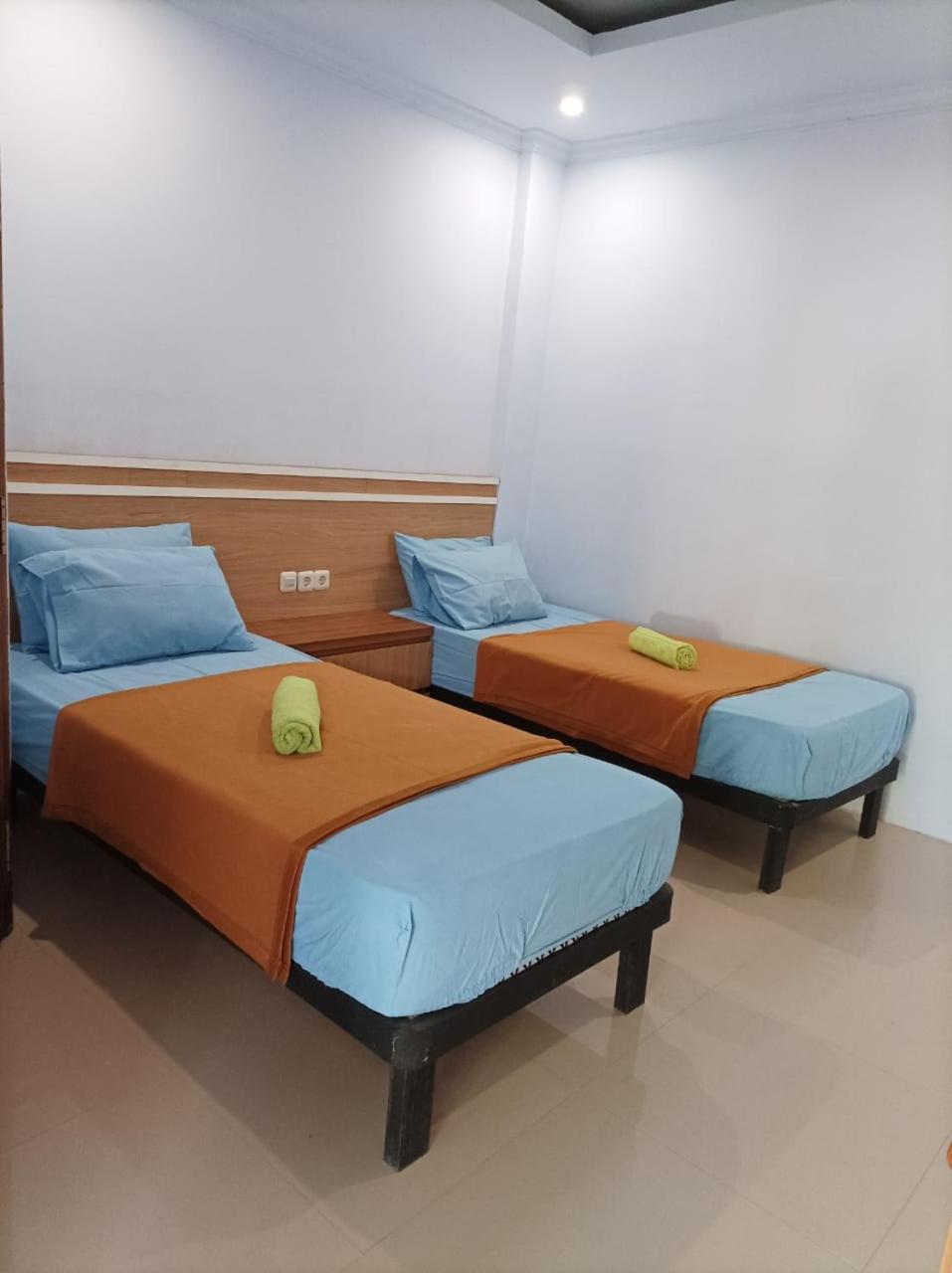 Deluxe Twin Room photo 3