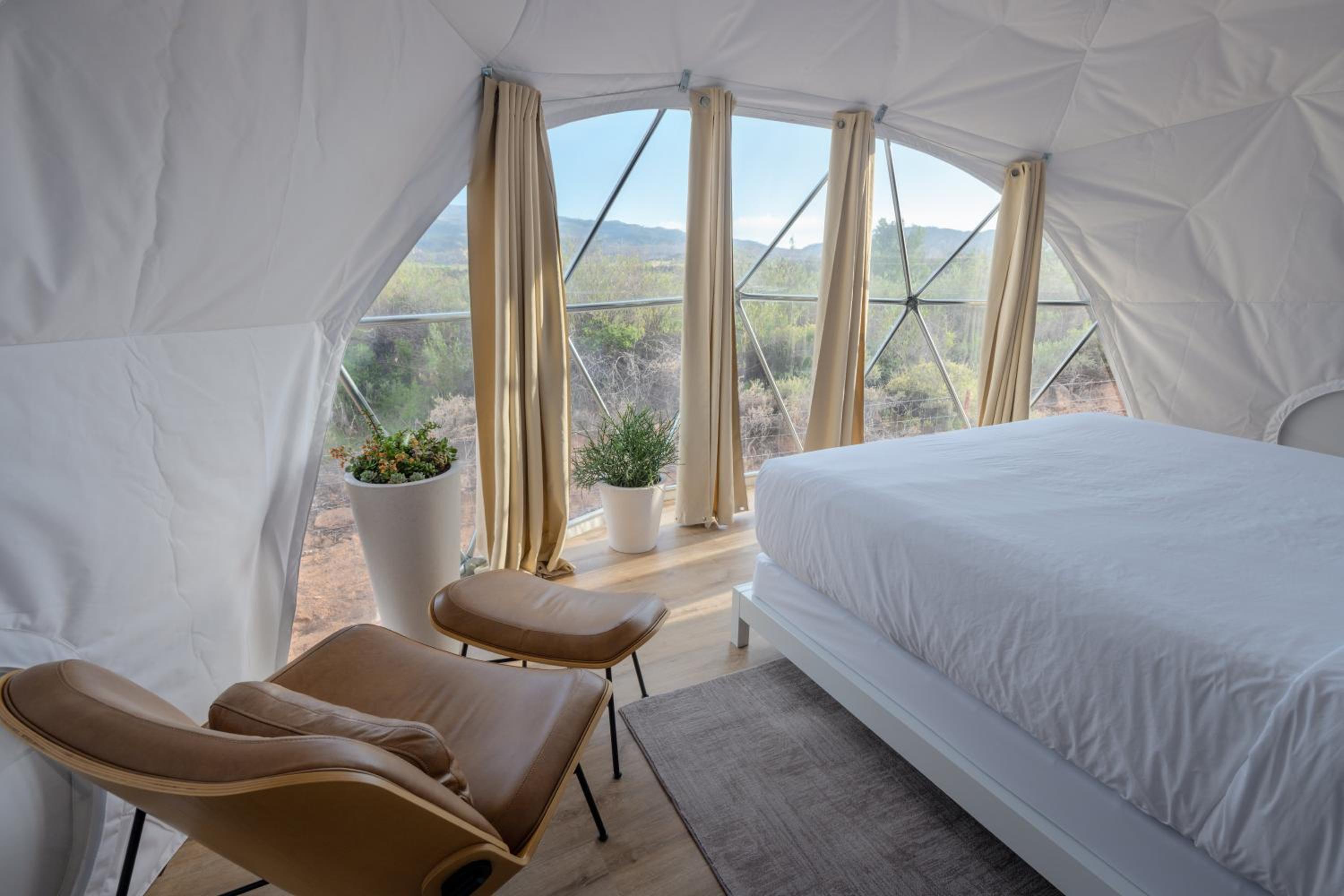 King Tent - Photo 1