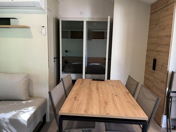 Mobile Home photo 3