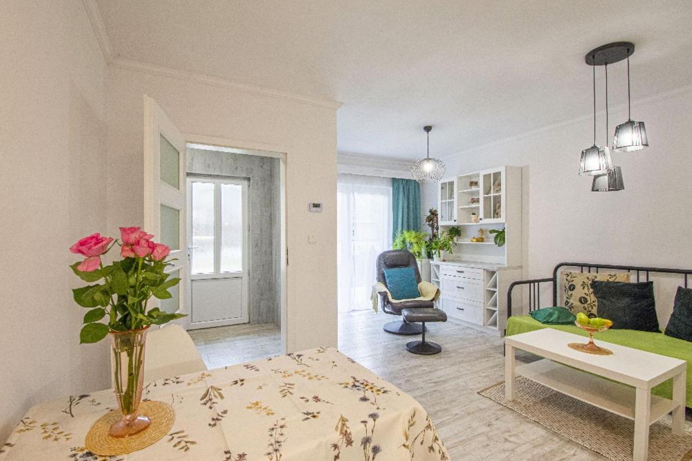 Apartment with Terrace photo 1