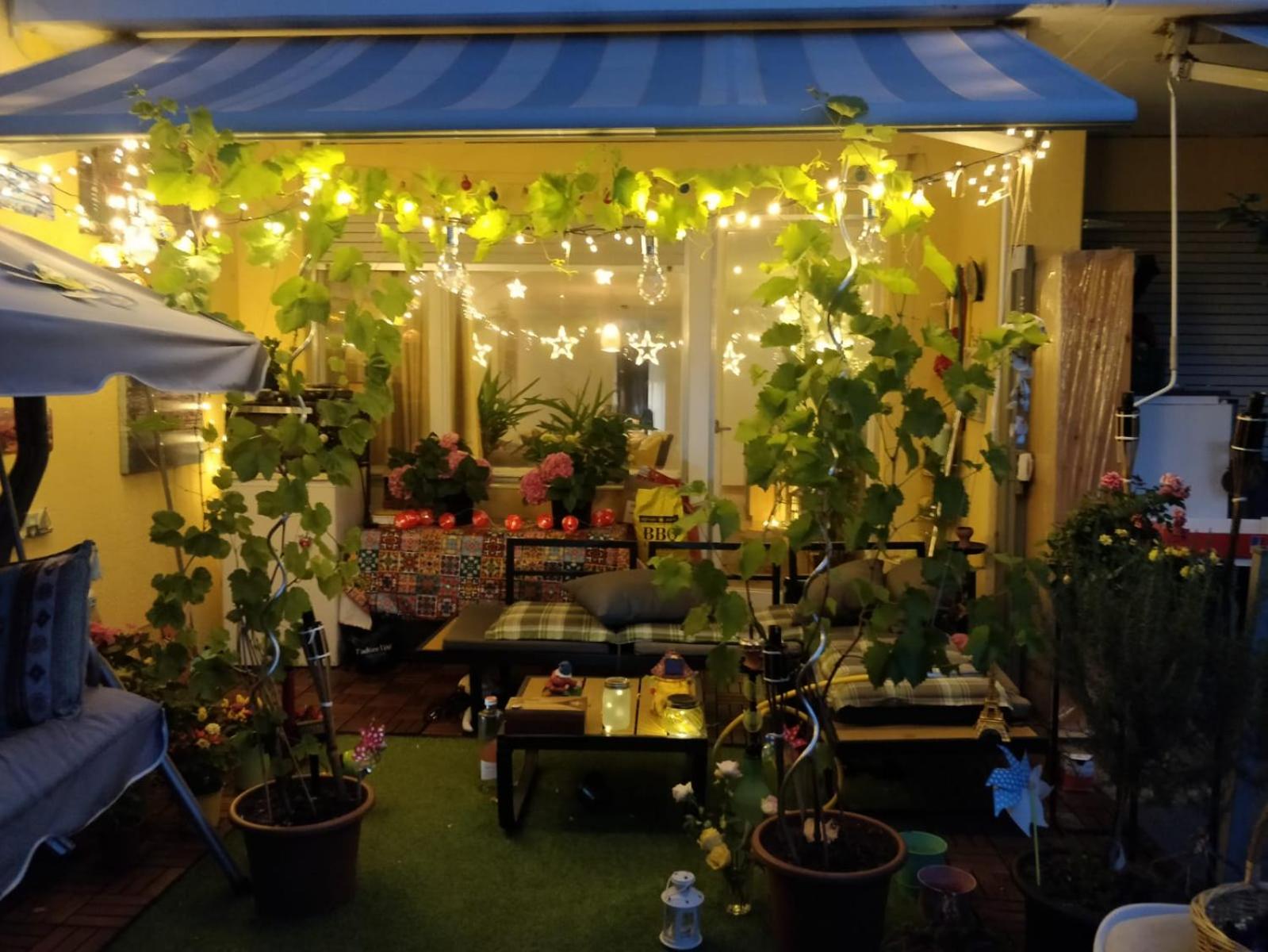 Double Room with Garden View photo 1