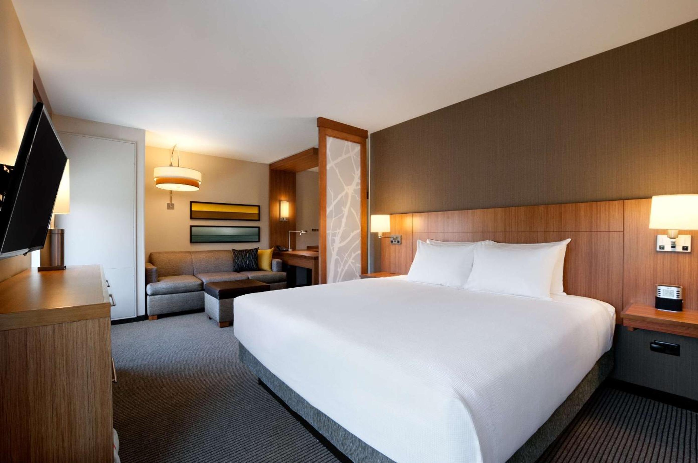 King Room with Sofa Bed and Roll-In Shower - Disability Access photo 3