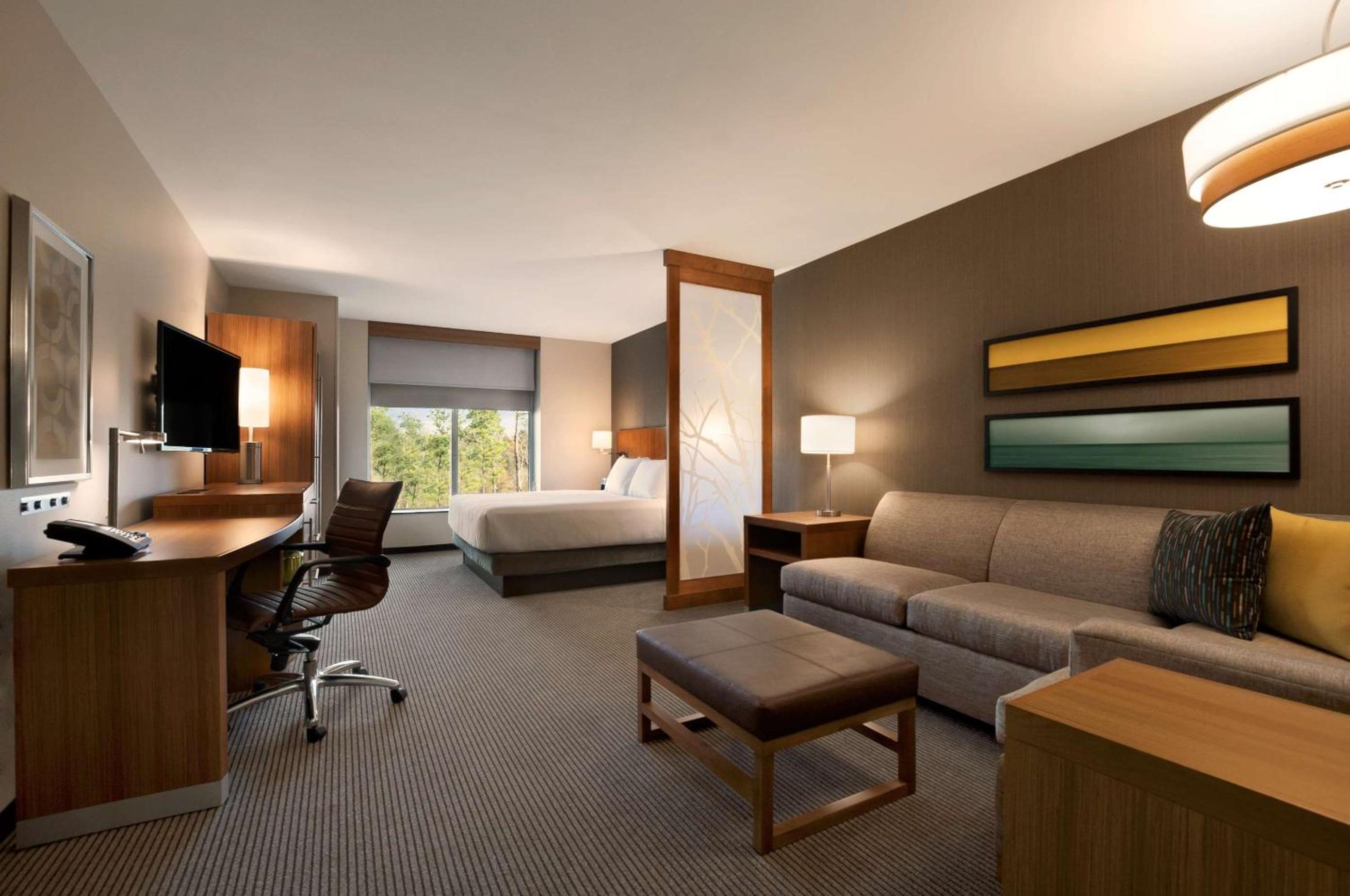 One-Bedroom King Suite with Sofa Bed photo 2