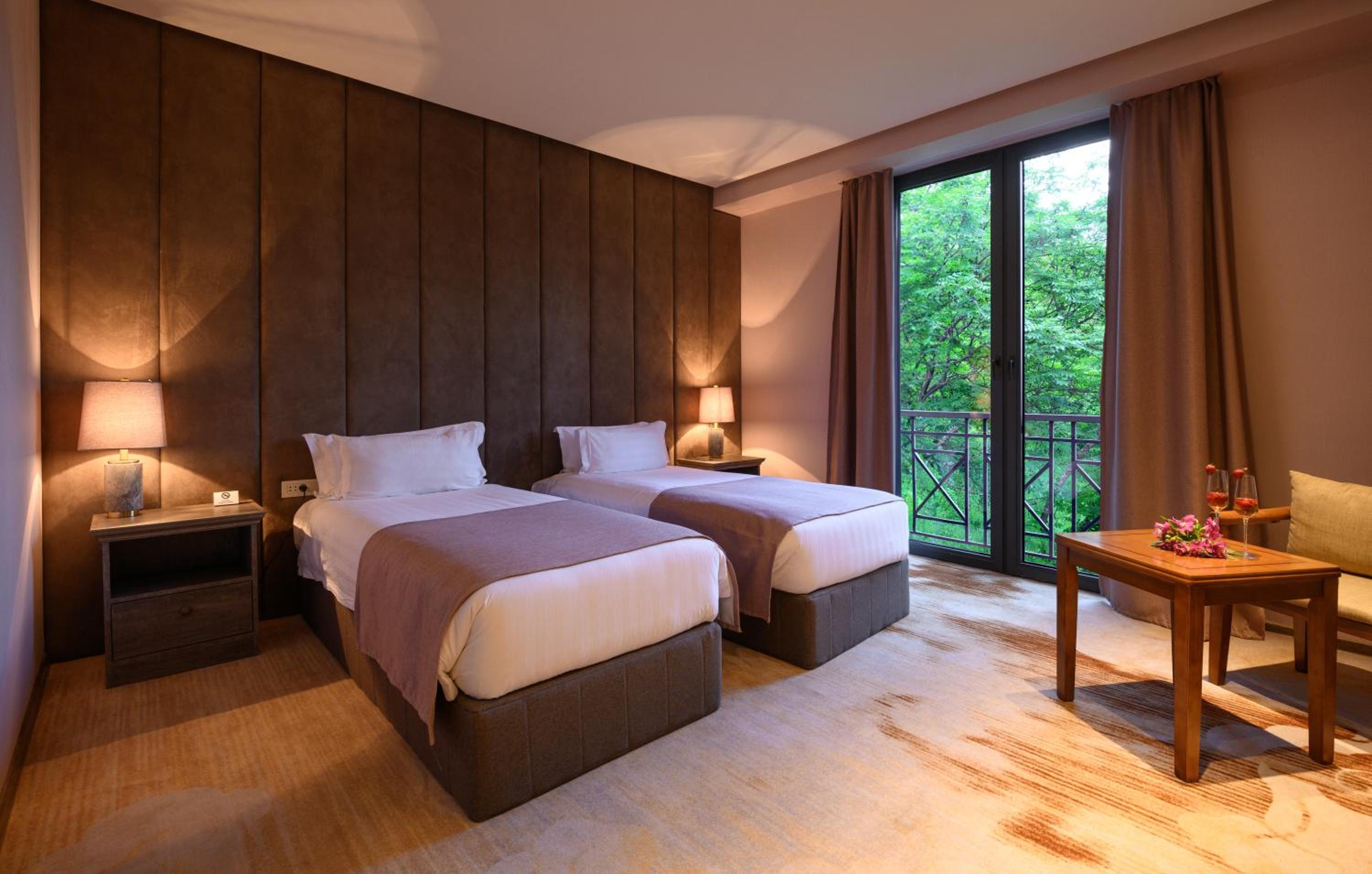 Deluxe Double or Twin Room with Mountain View photo 1