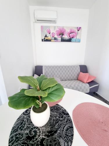 One-Bedroom Apartment with Terrace