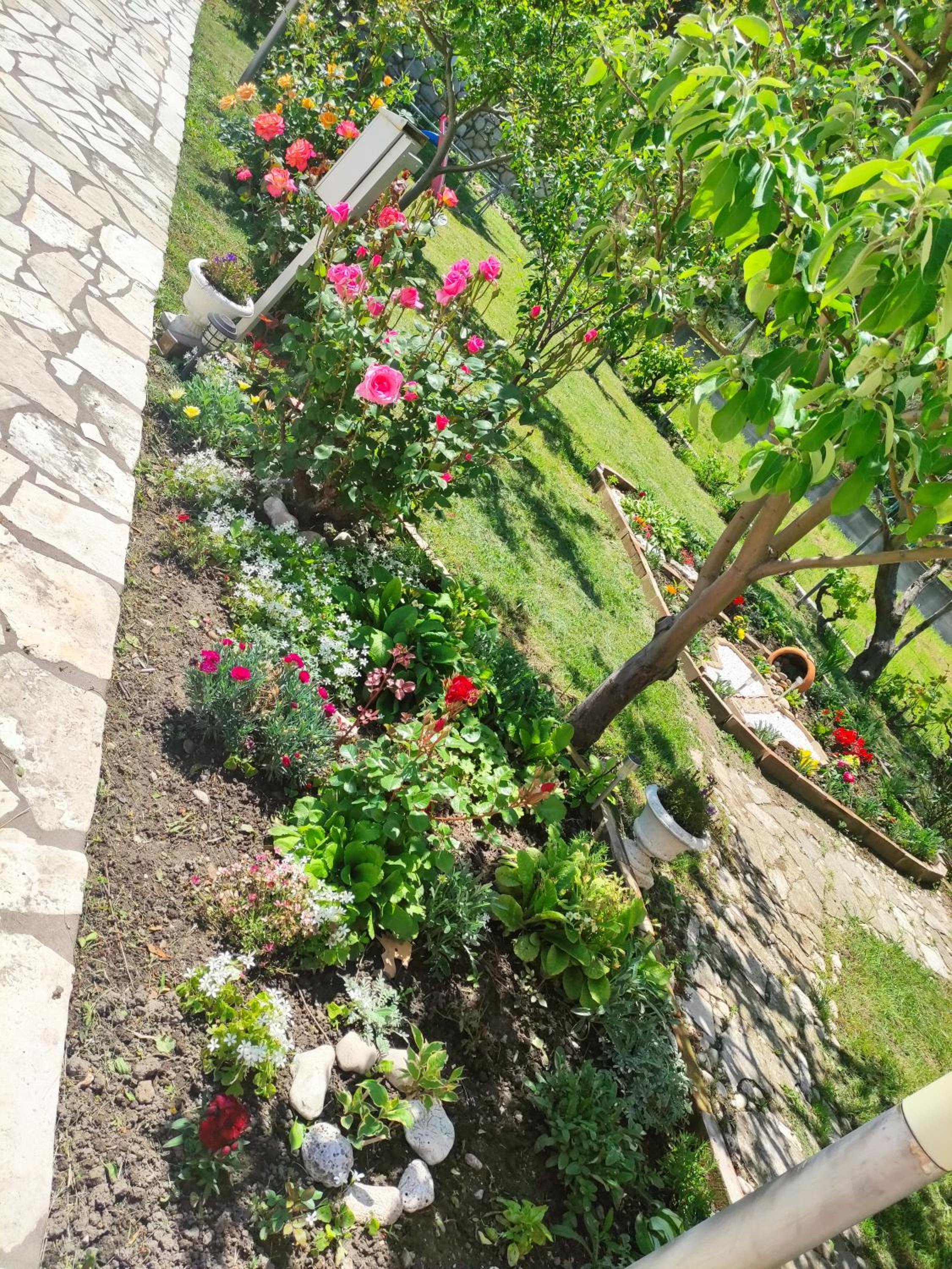 Apartment with Garden View photo 2
