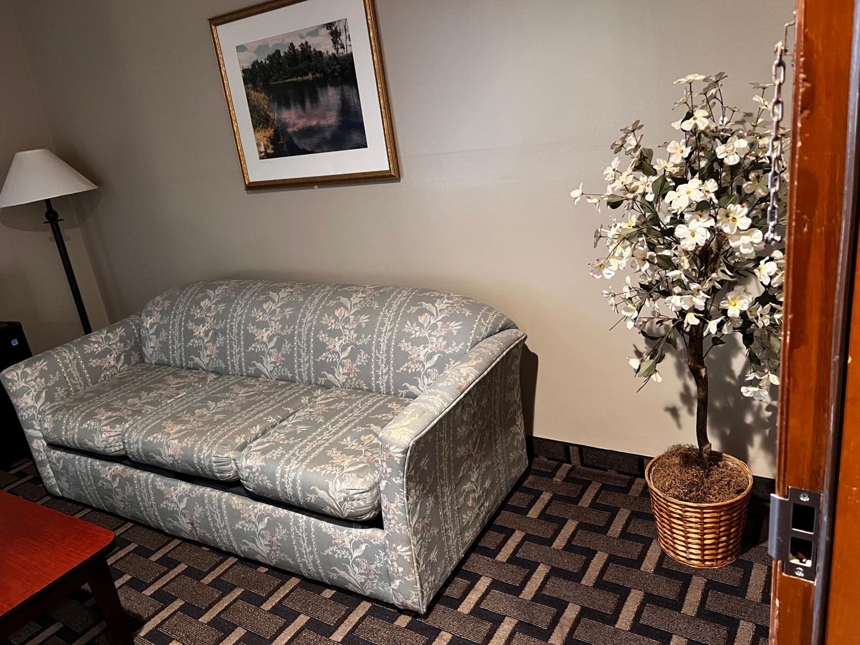 King Room with Sofa Bed - Photo 8