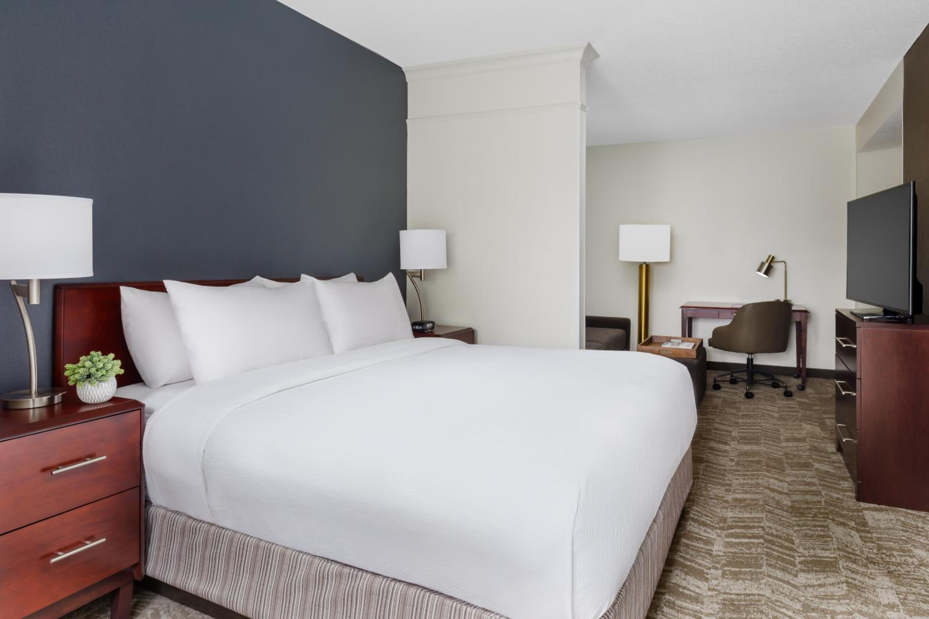 King Suite with Sofa Bed