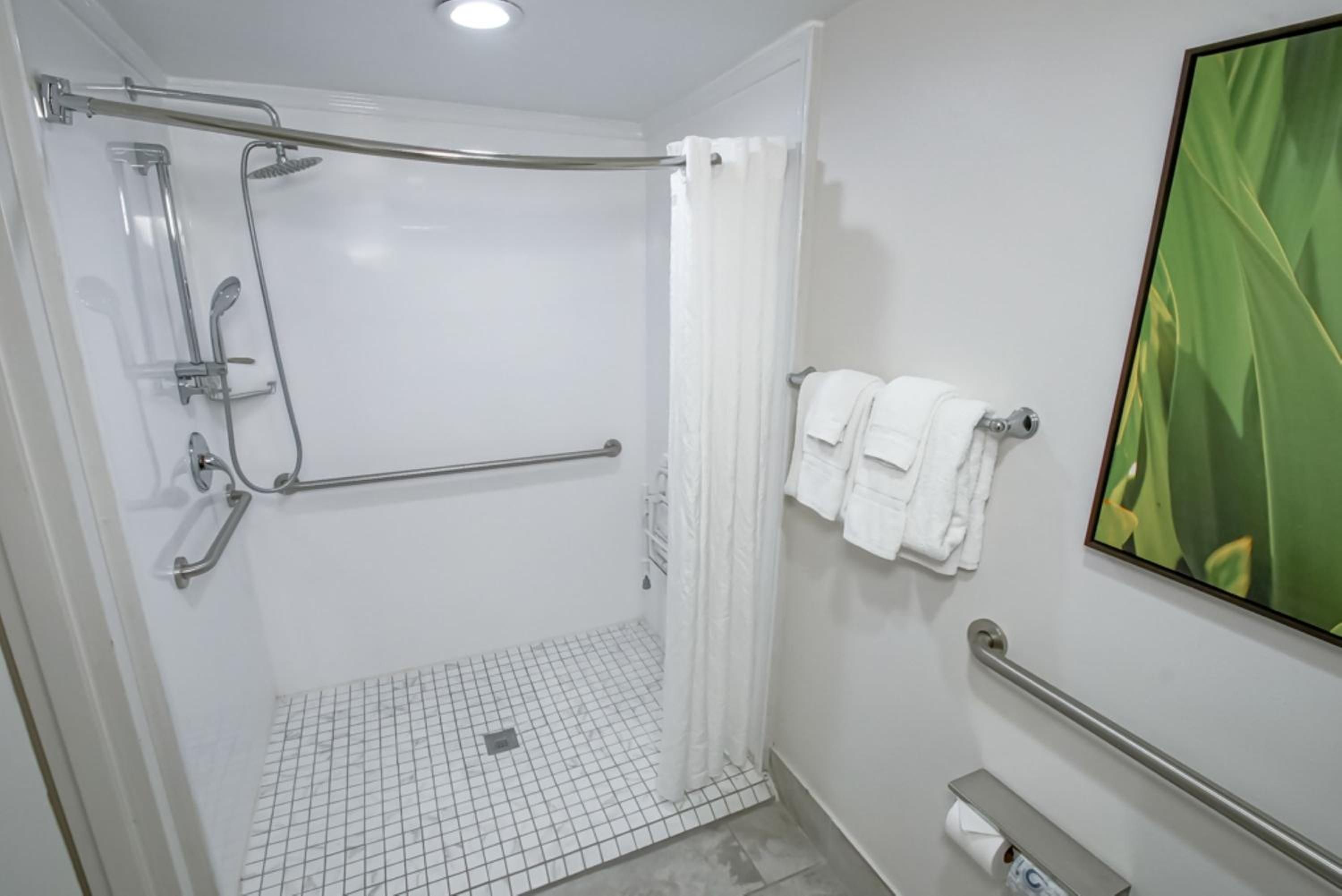 King Room with Accessible Roll-In Shower - Non-Smoking photo 2