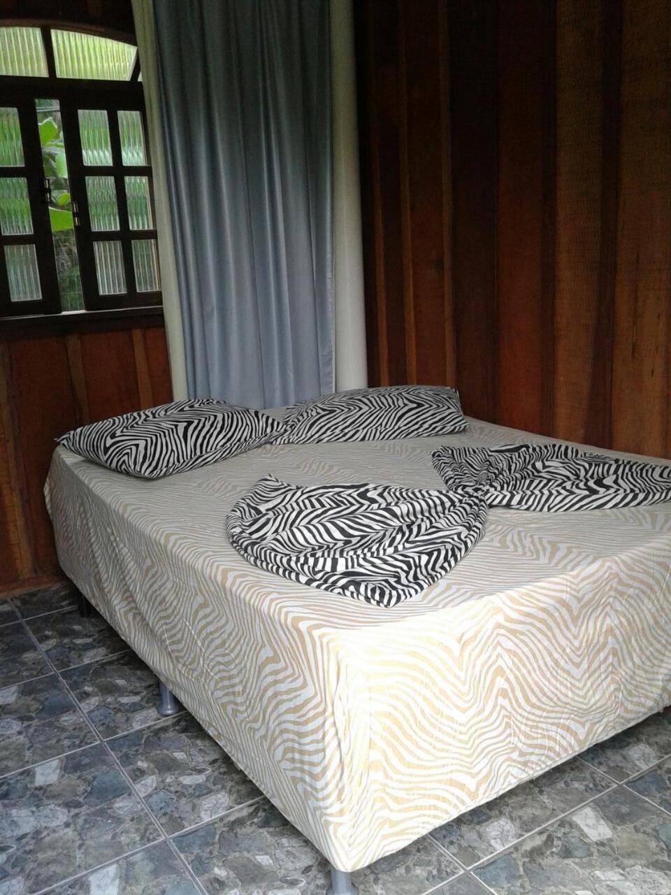 Suite - Photo 3