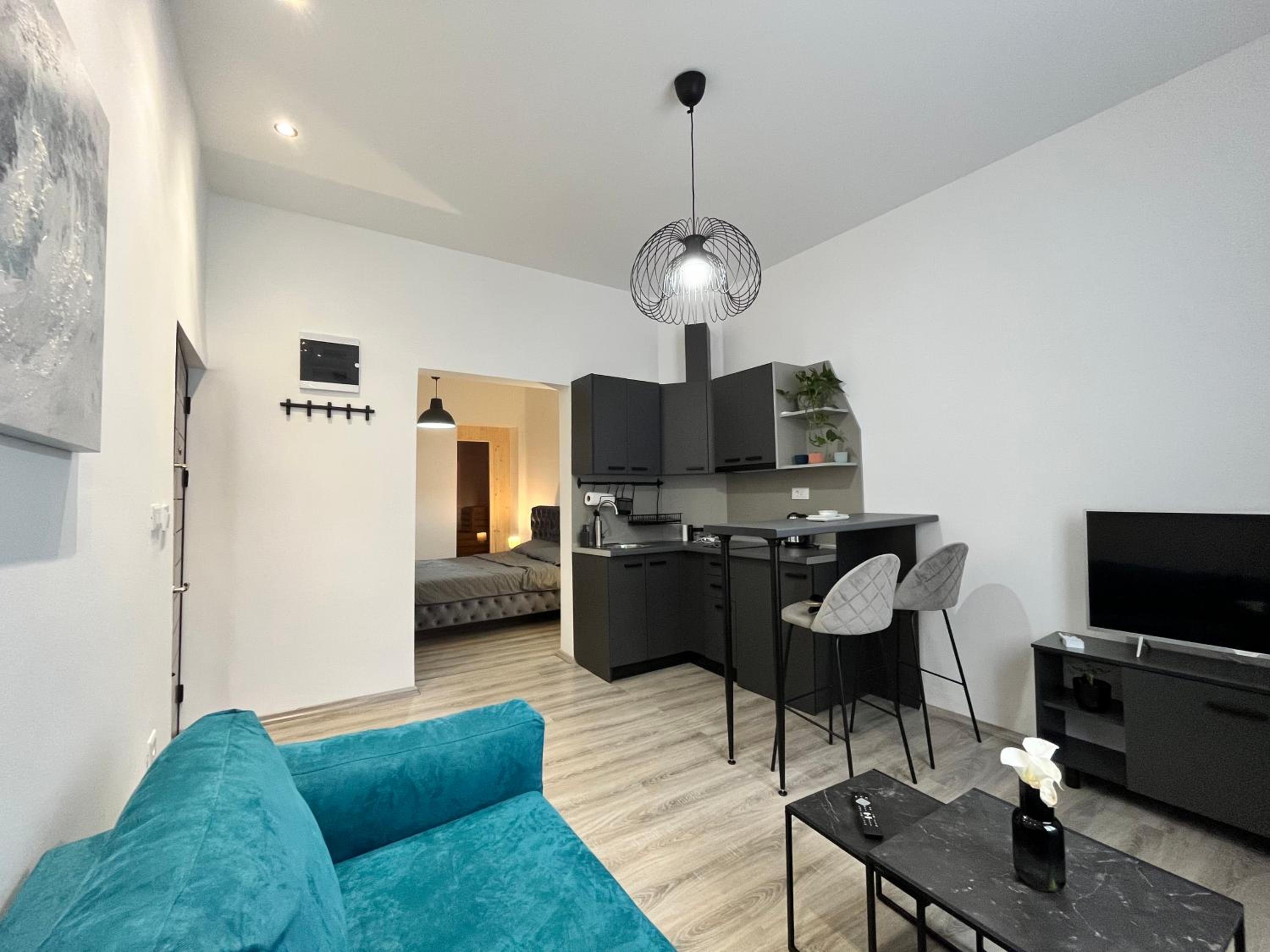 One-Bedroom Apartment photo 3