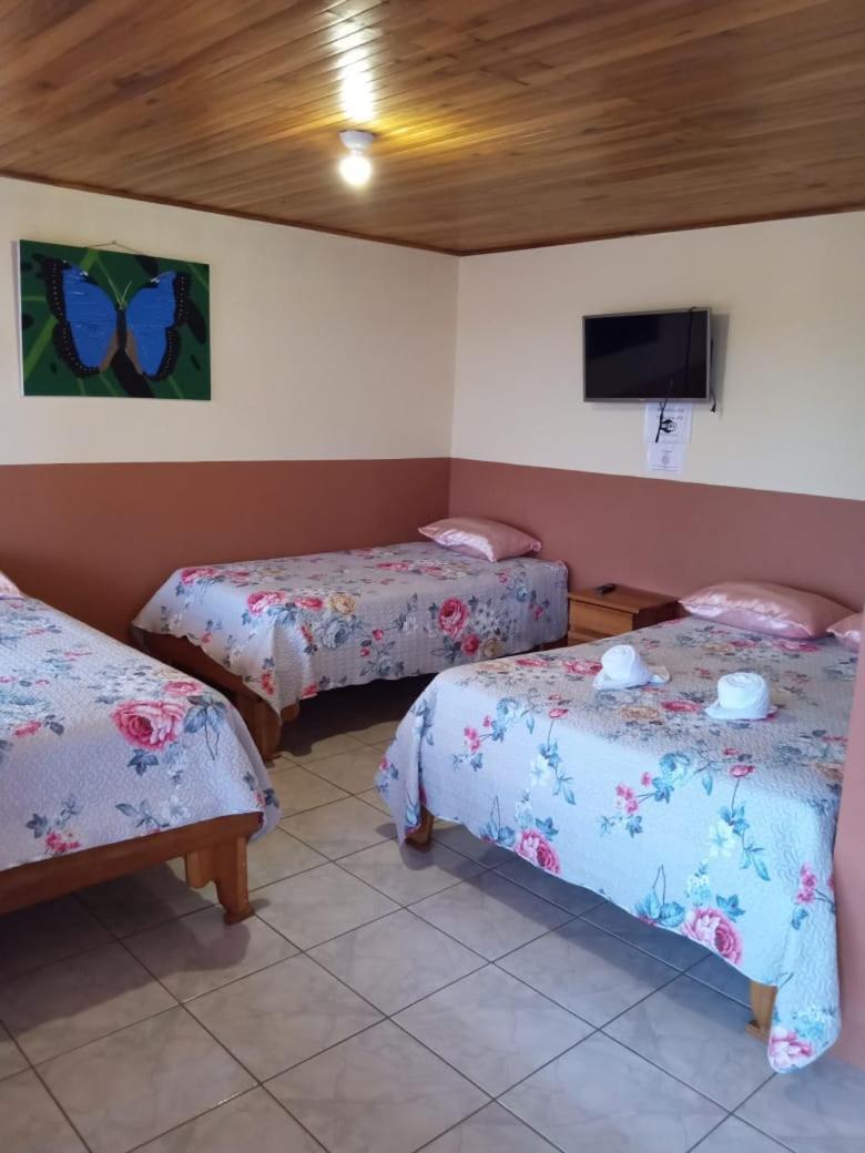 Quadruple Room photo 1