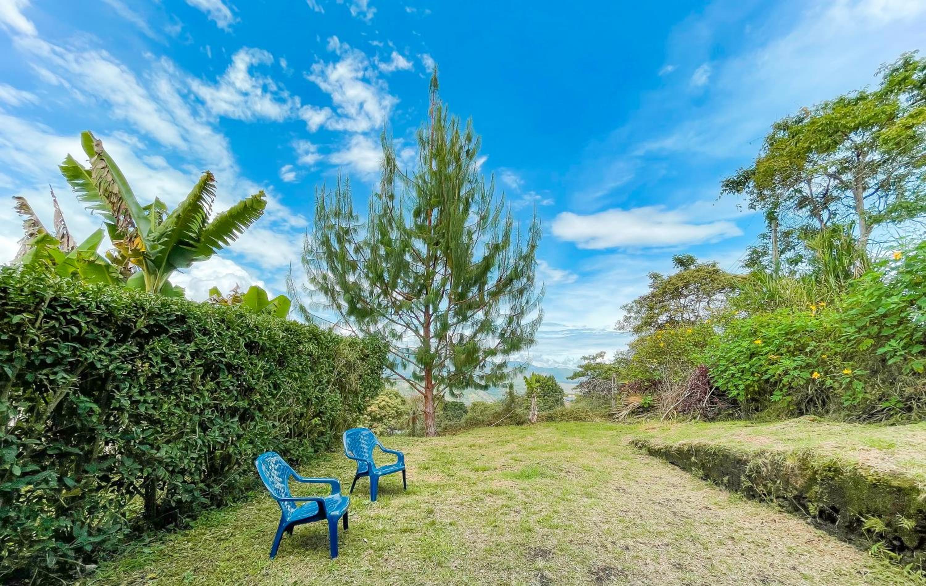 Double Room with Garden View photo 3