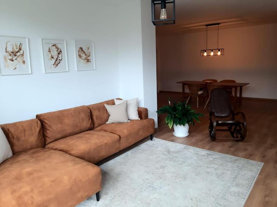 One-Bedroom House photo 2