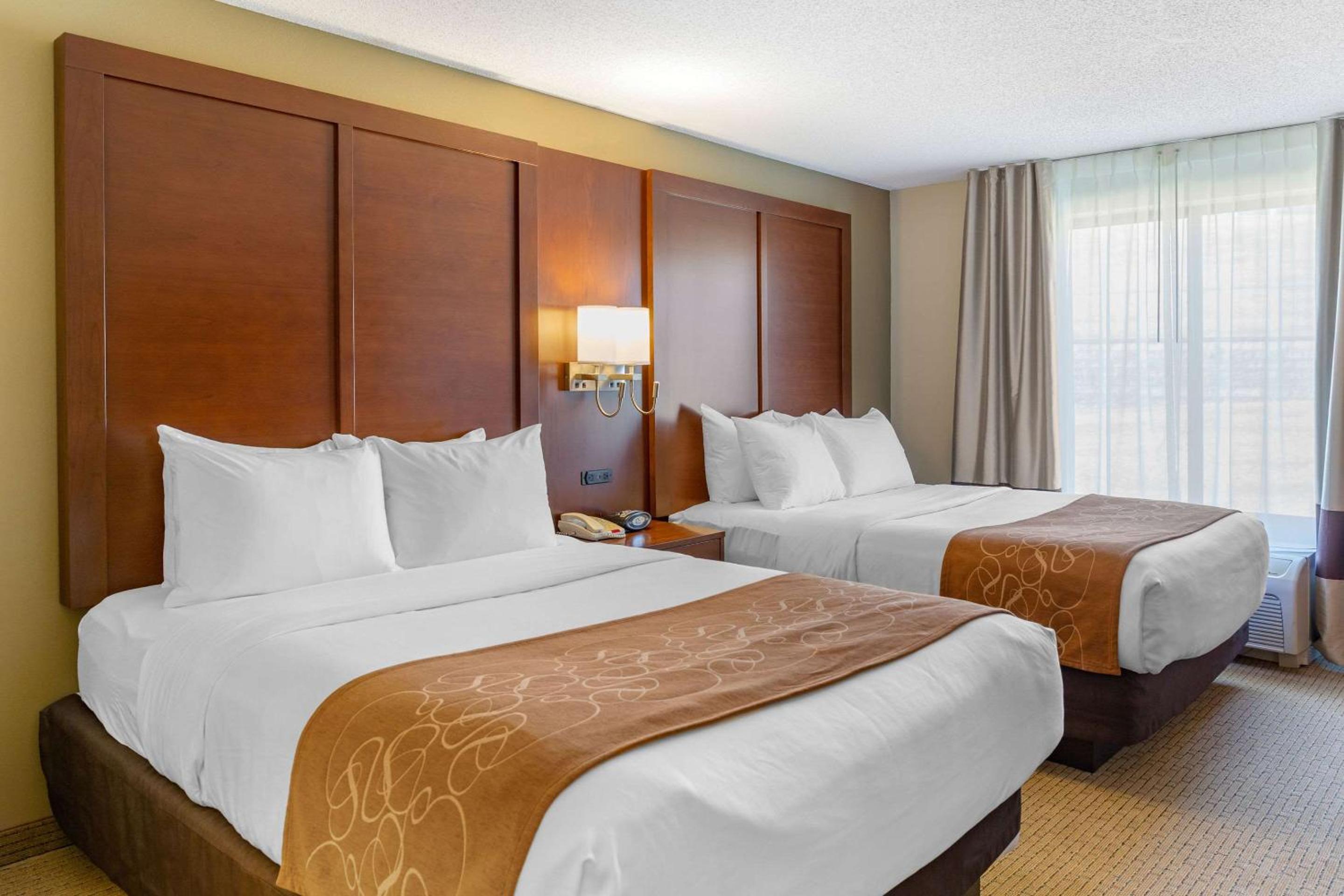  Queen Suite with Two Queen Beds - Non-Smoking - Photo 1