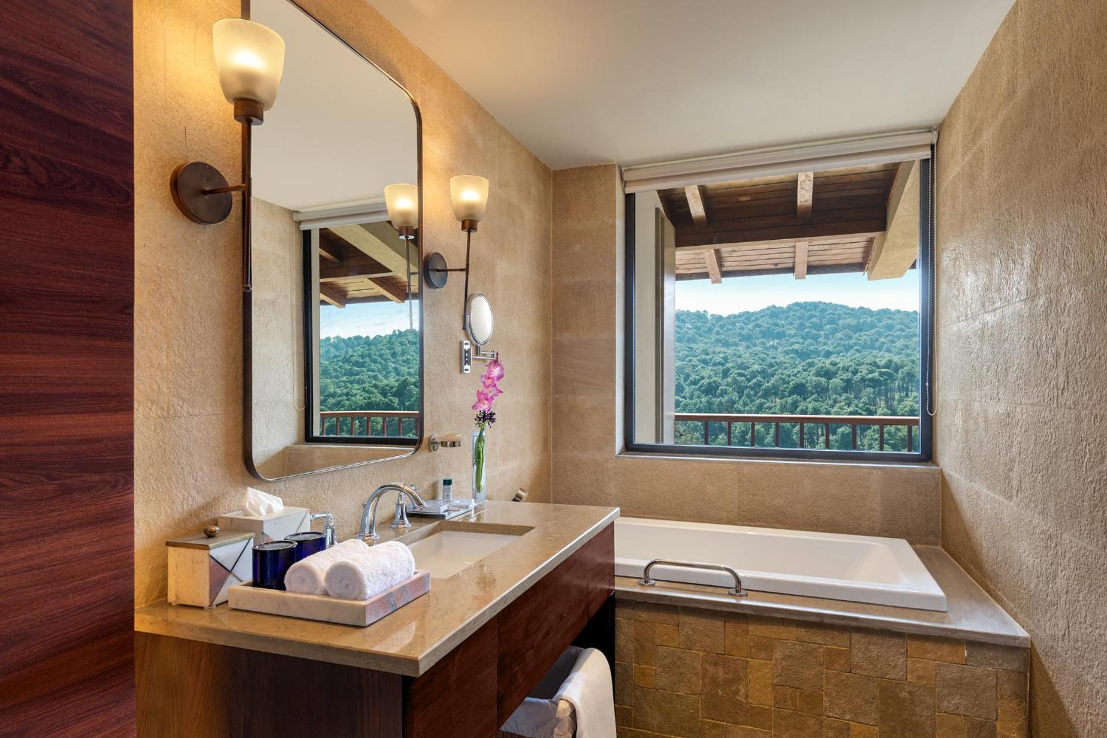 Deluxe Twin Room photo