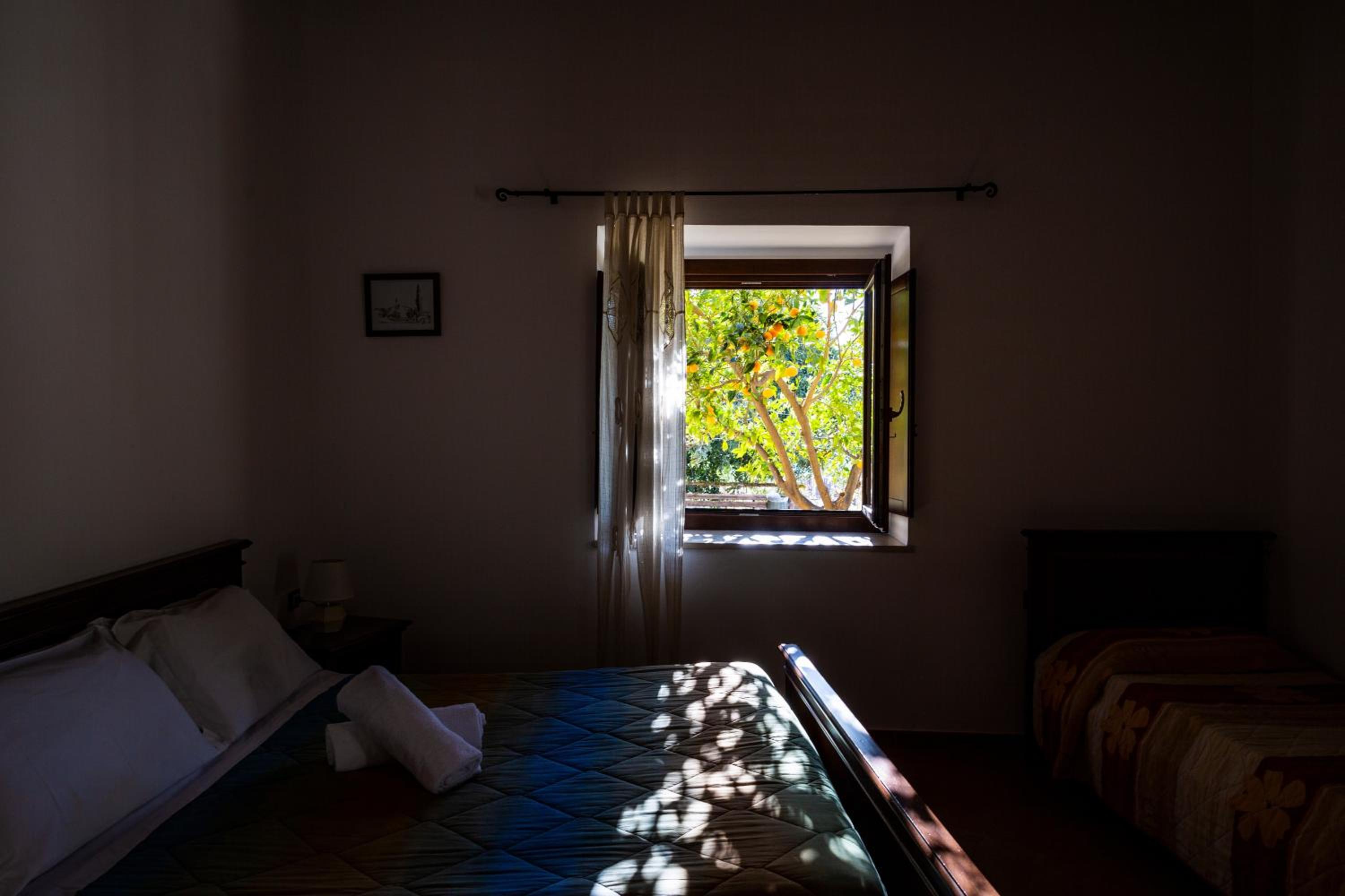 Double or Twin Room photo 1