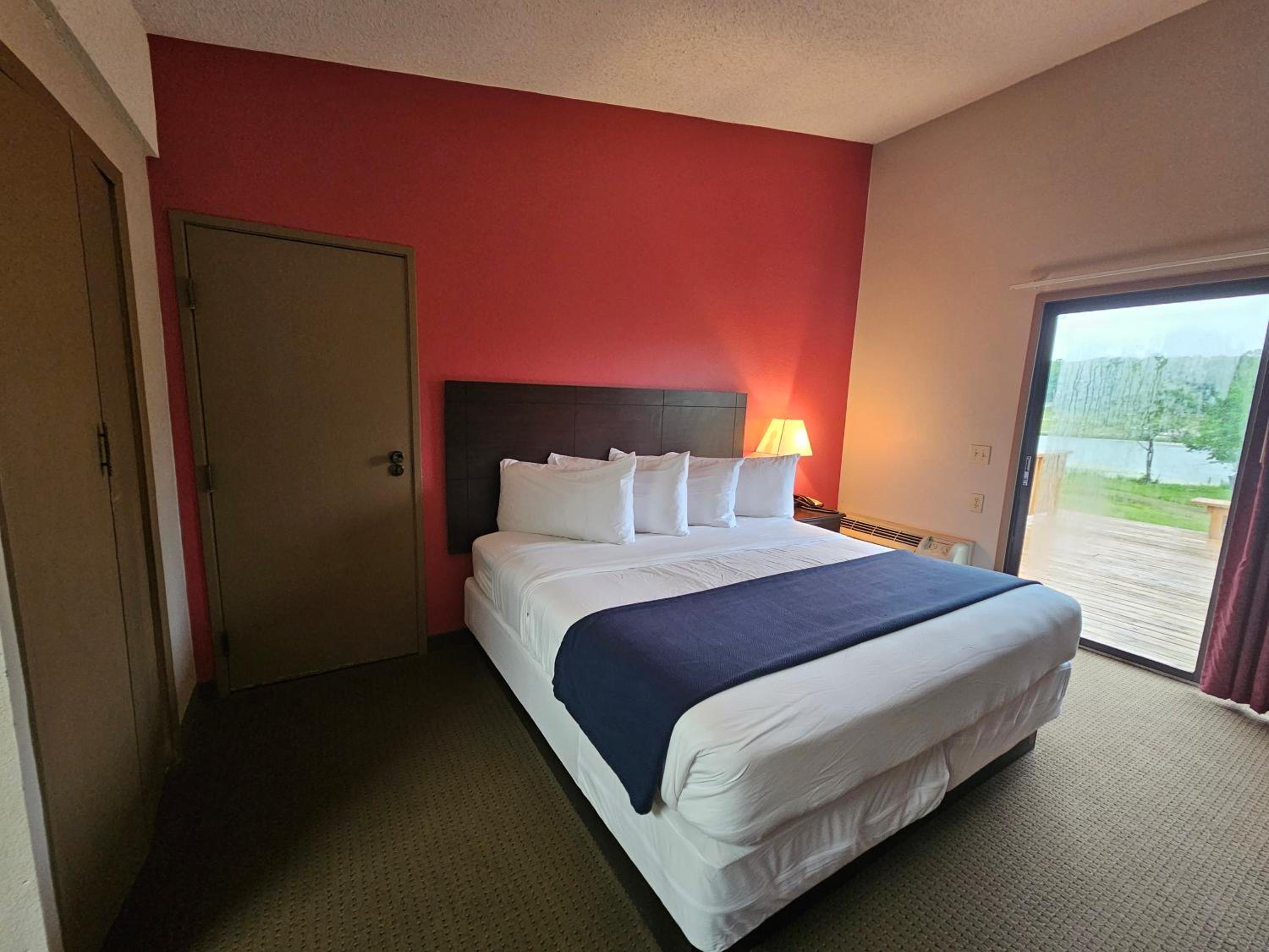 Single Room photo 1