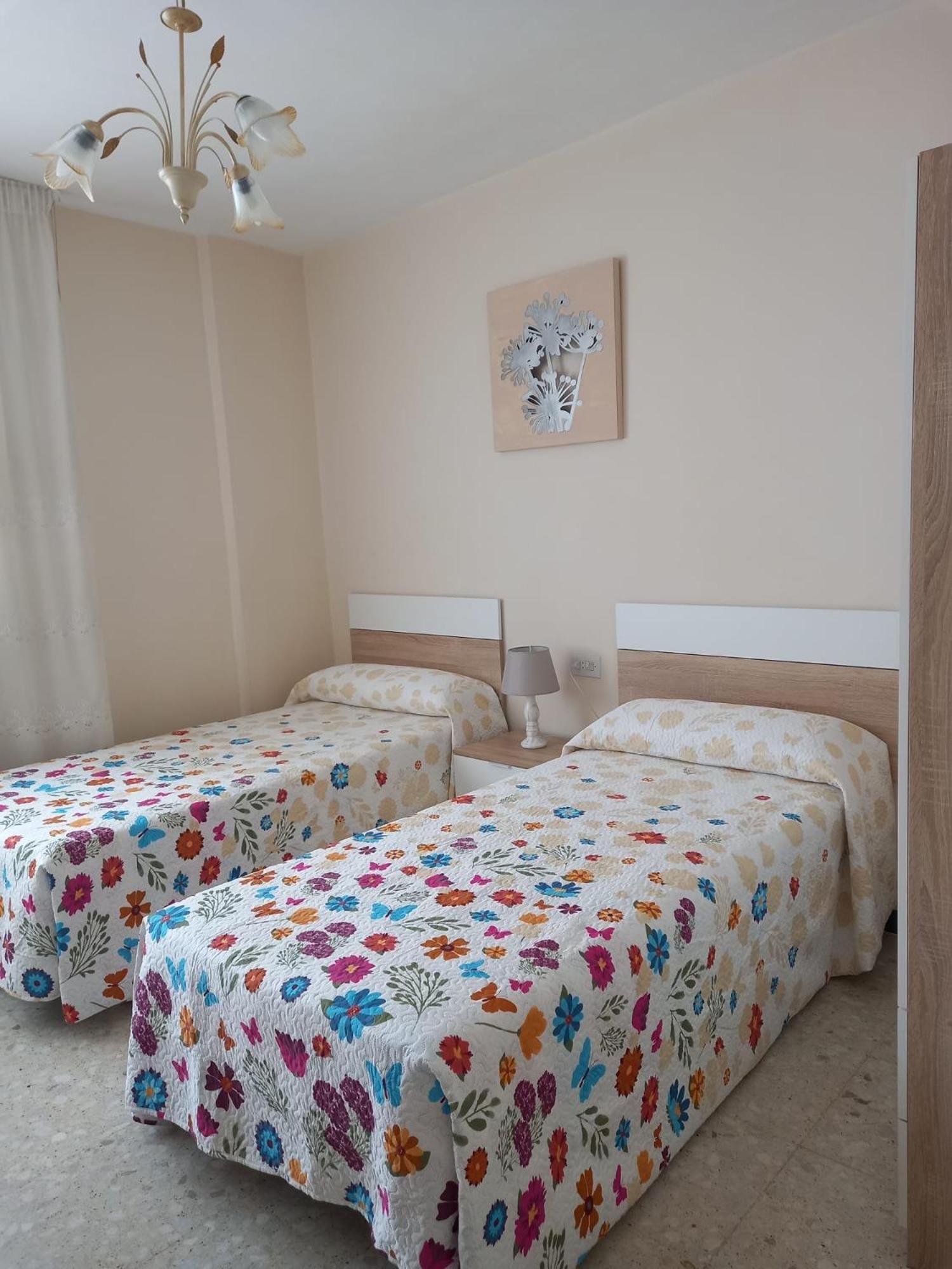Bed in 3-Bed Dormitory Room photo 2