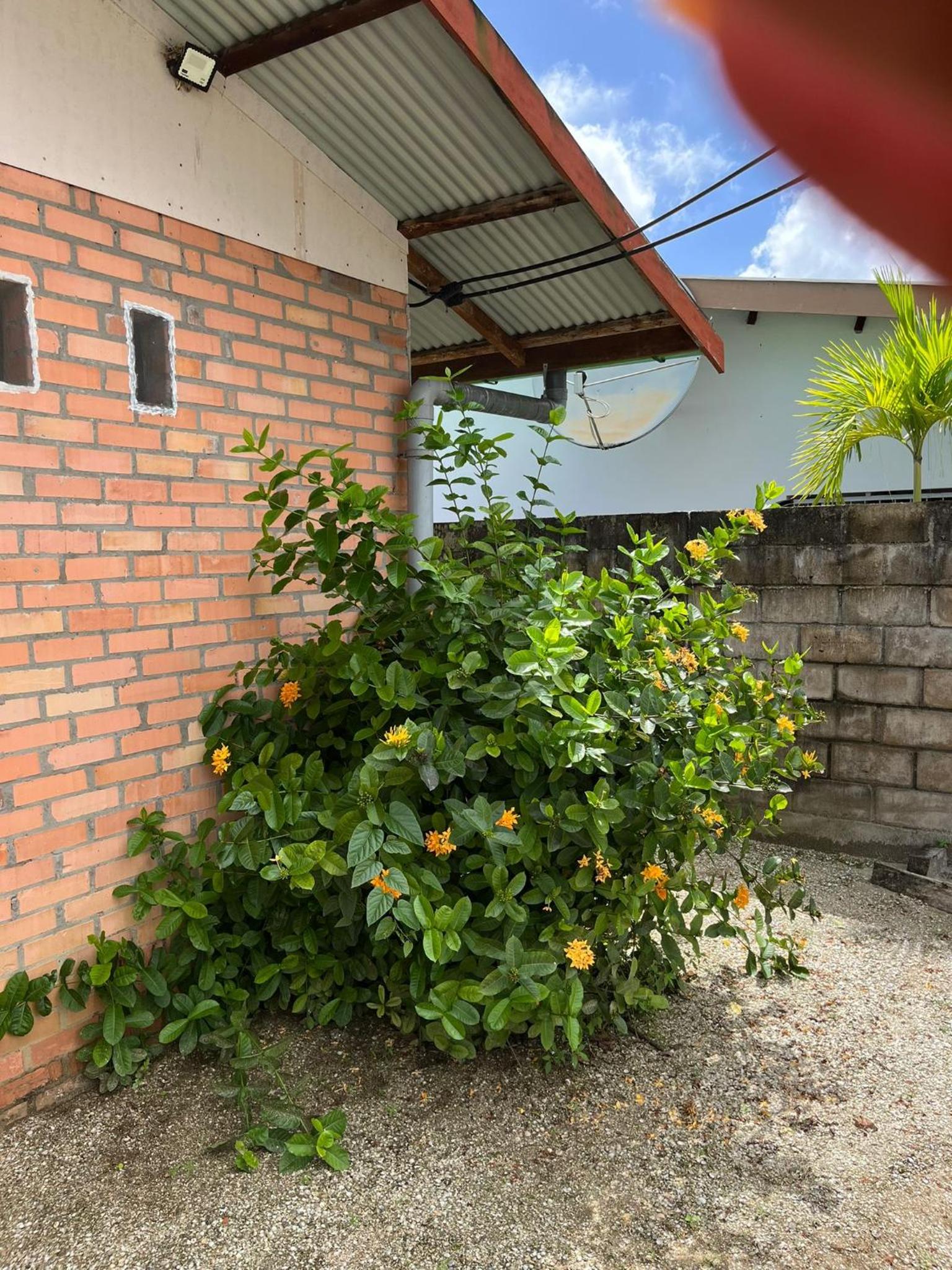 Three-Bedroom House photo 2