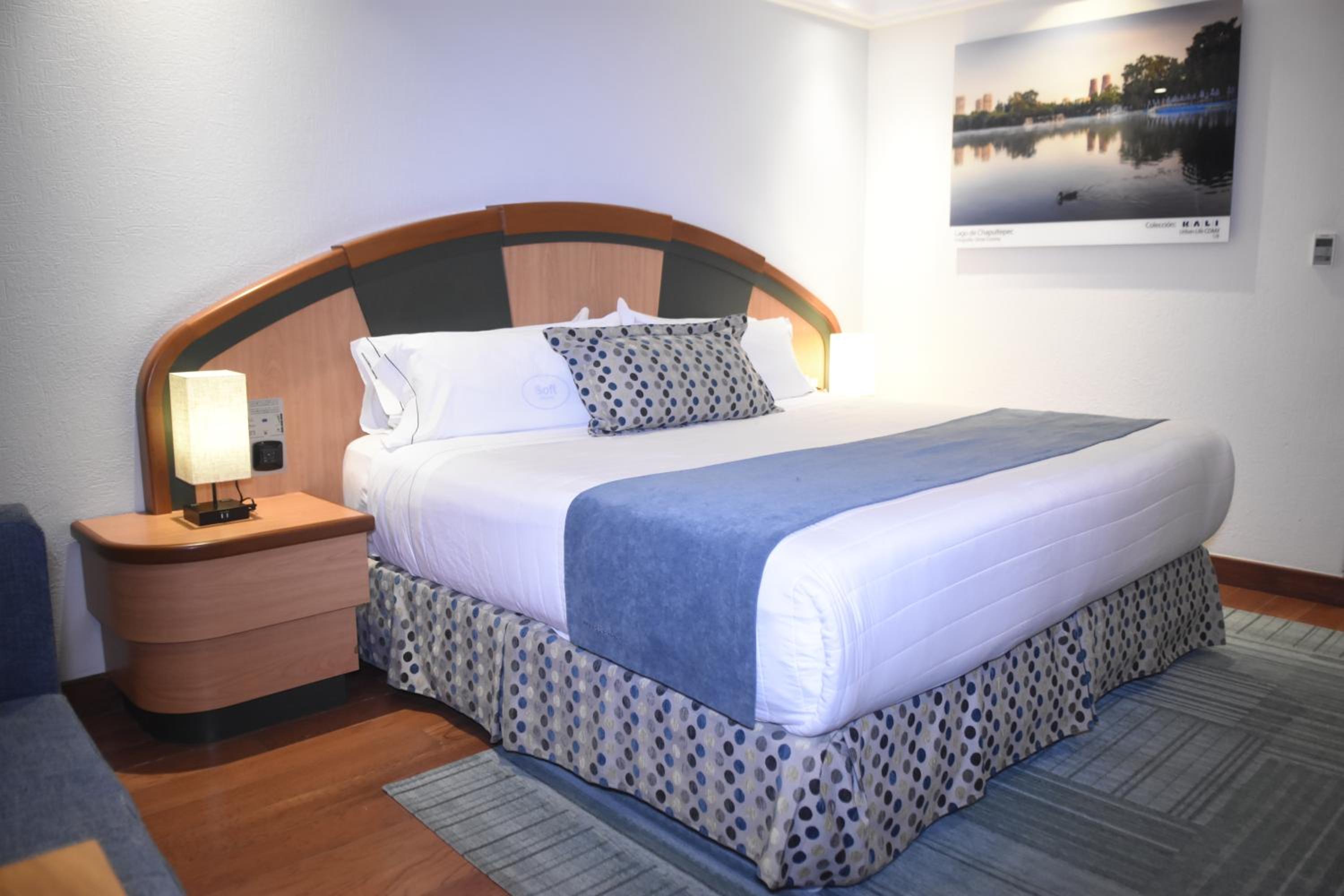 King Room photo 3