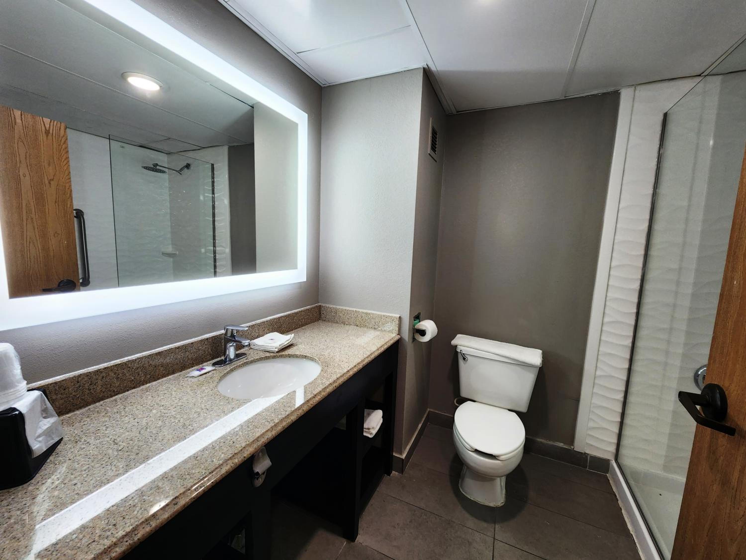 Deluxe King Room - Non-Smoking - Photo 7