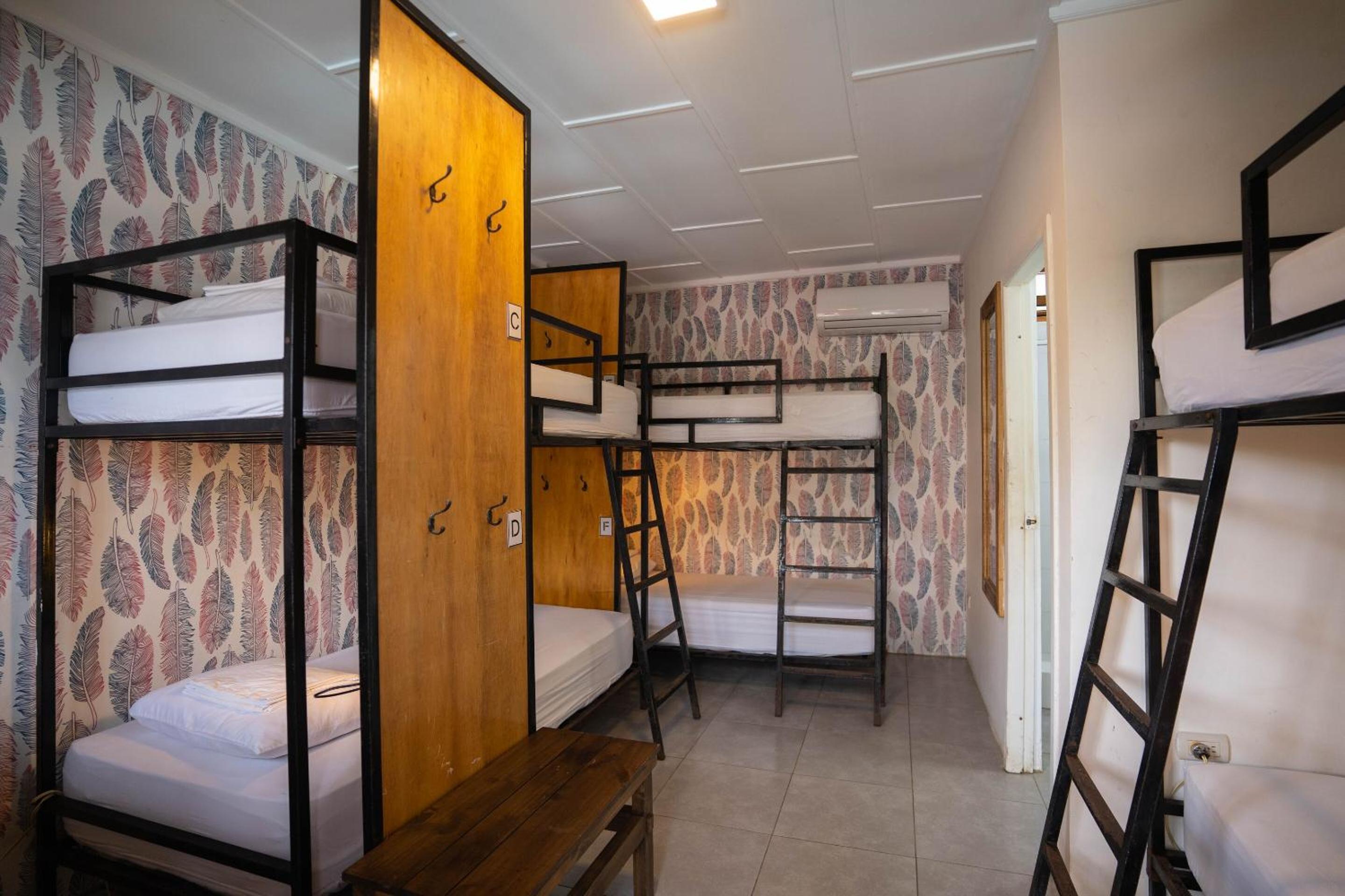 Bed In 6-Bed Dormitory Room photo 2