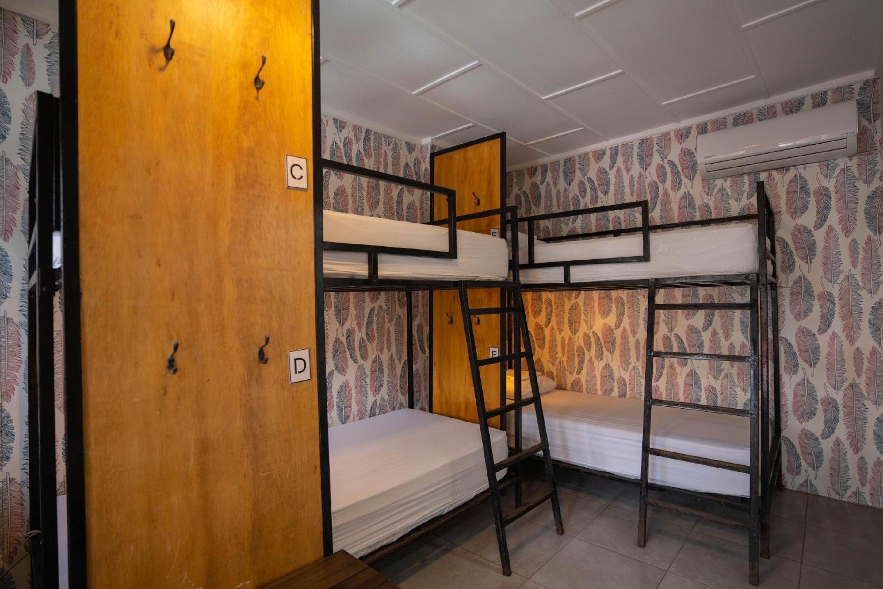 Bed In 6-Bed Dormitory Room photo 3