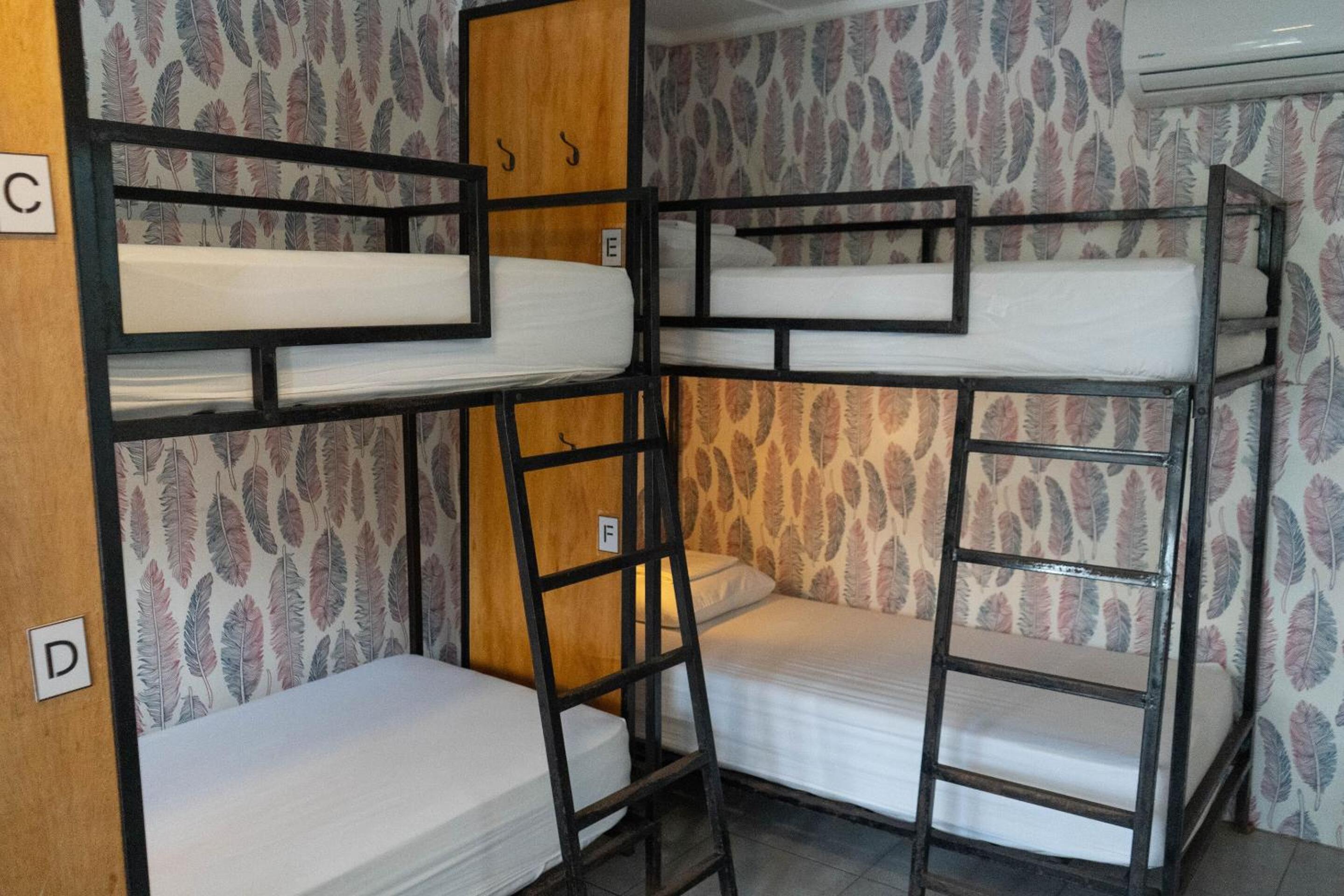 Bed In 6-Bed Dormitory Room photo 1