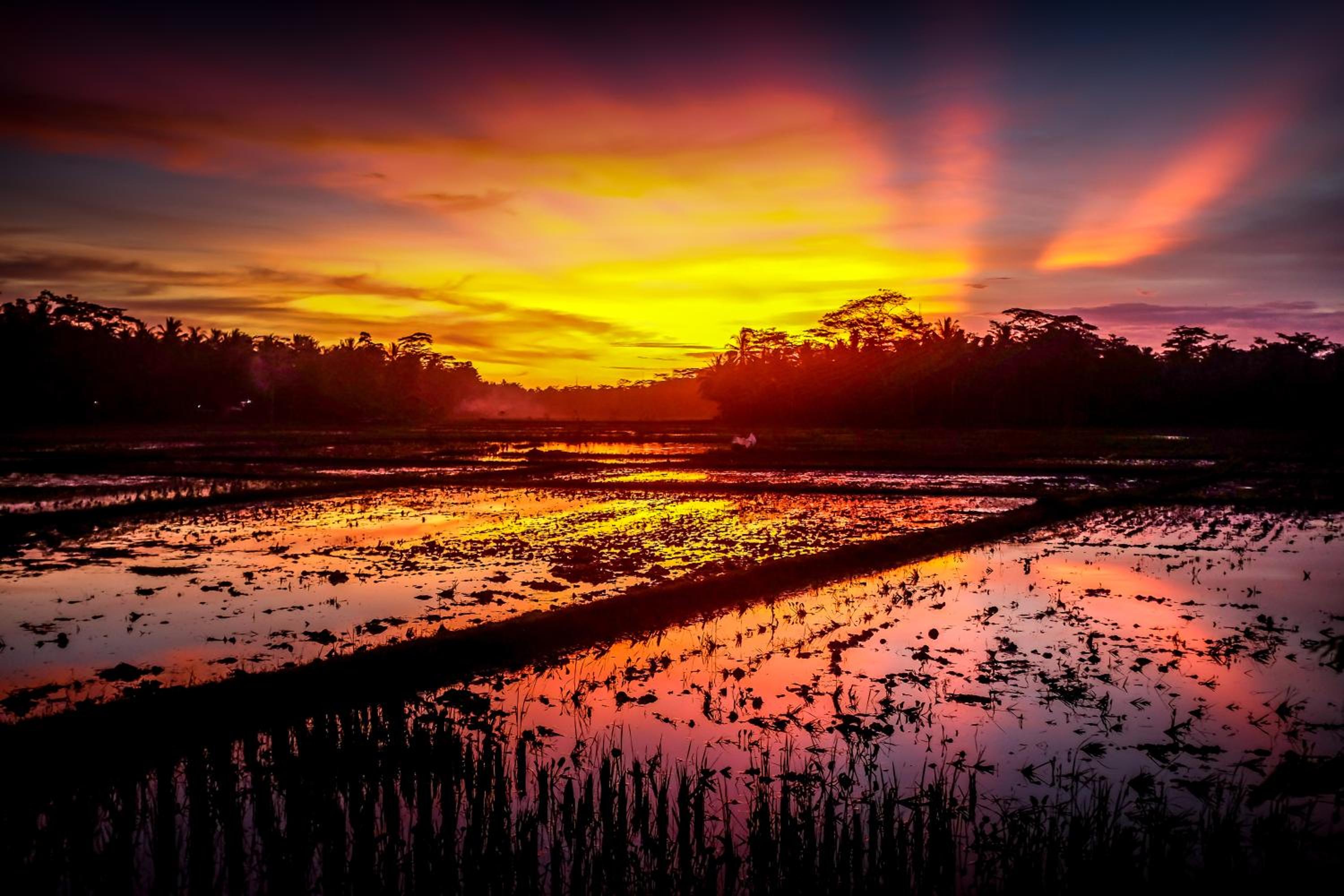 Superior Bungalow - Photo 4