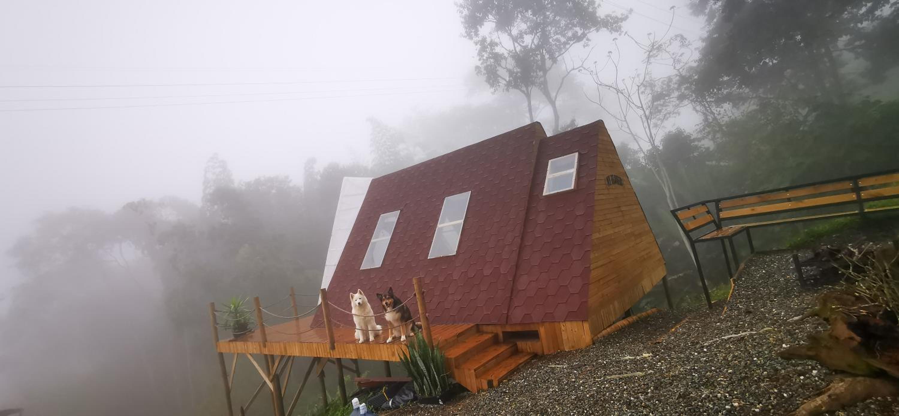 Double Room with Mountain View photo 3