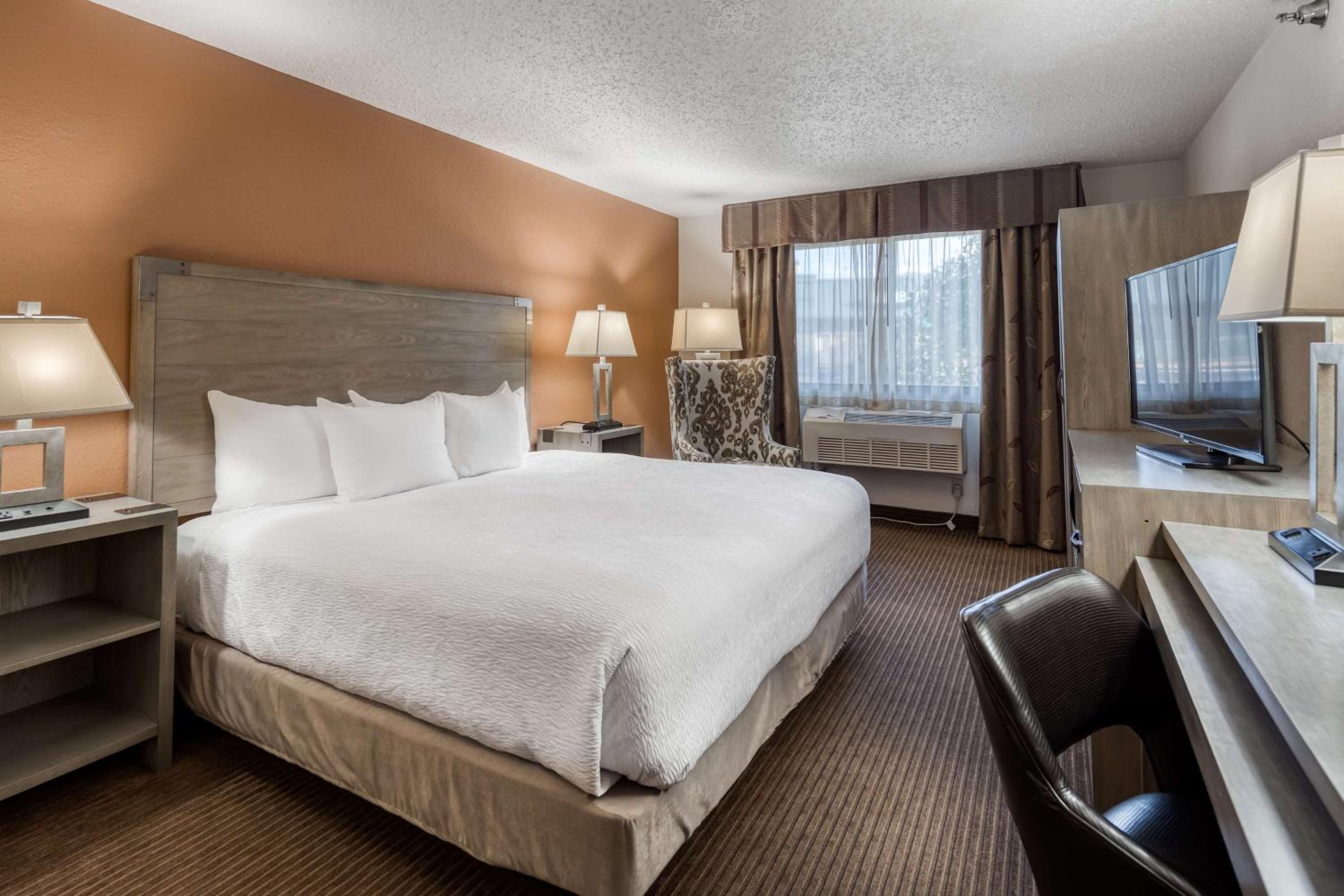 Deluxe King Room - Photo 3