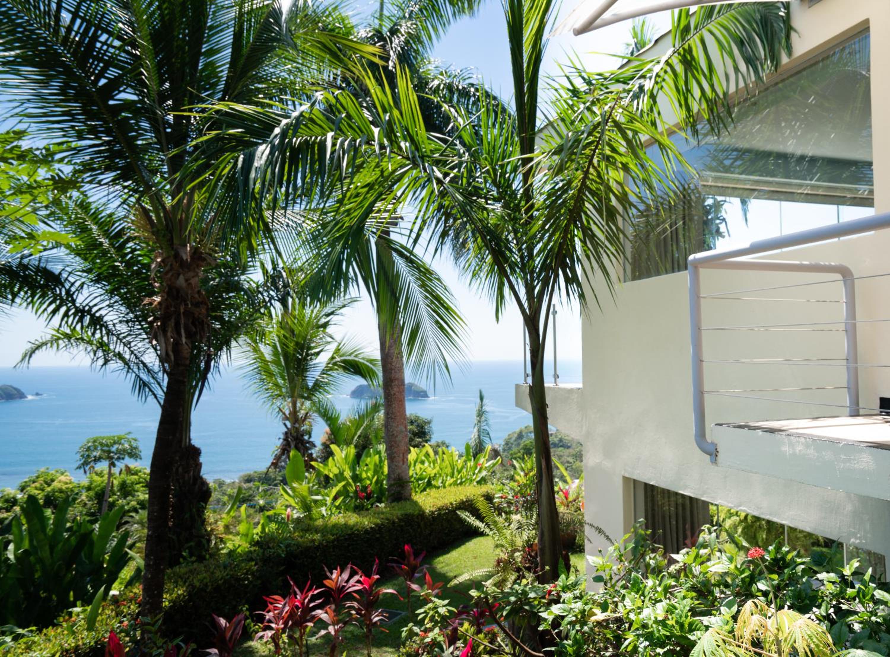 Premier Ocean Garden View Room photo 2