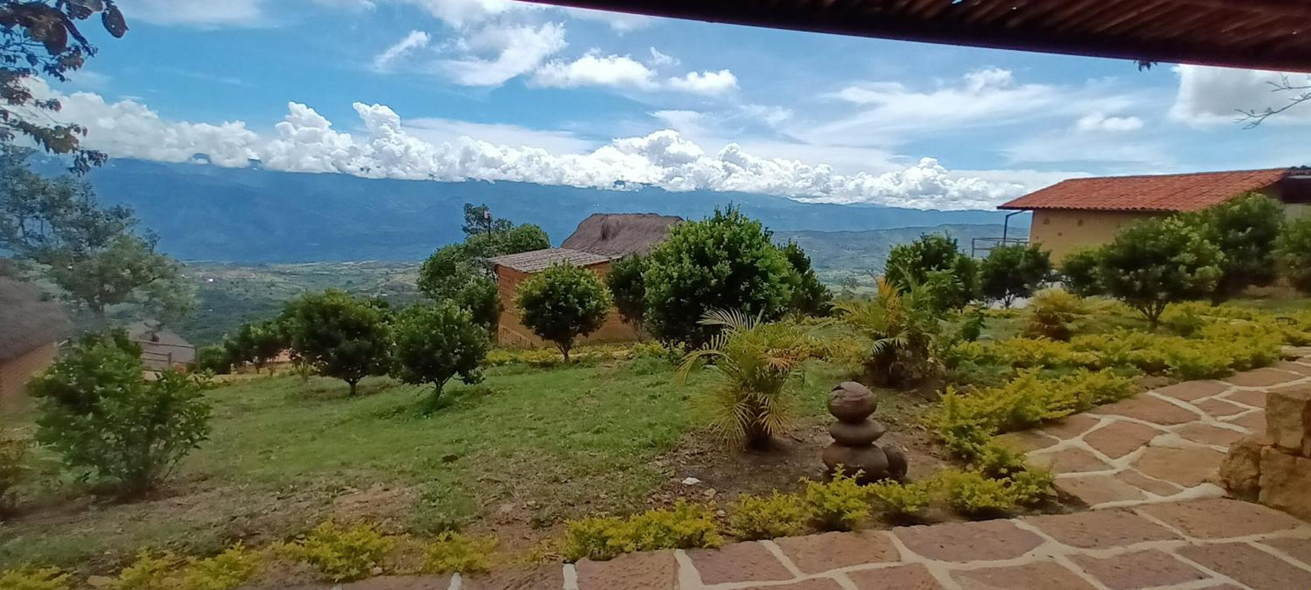 Double Room with Garden View photo 2