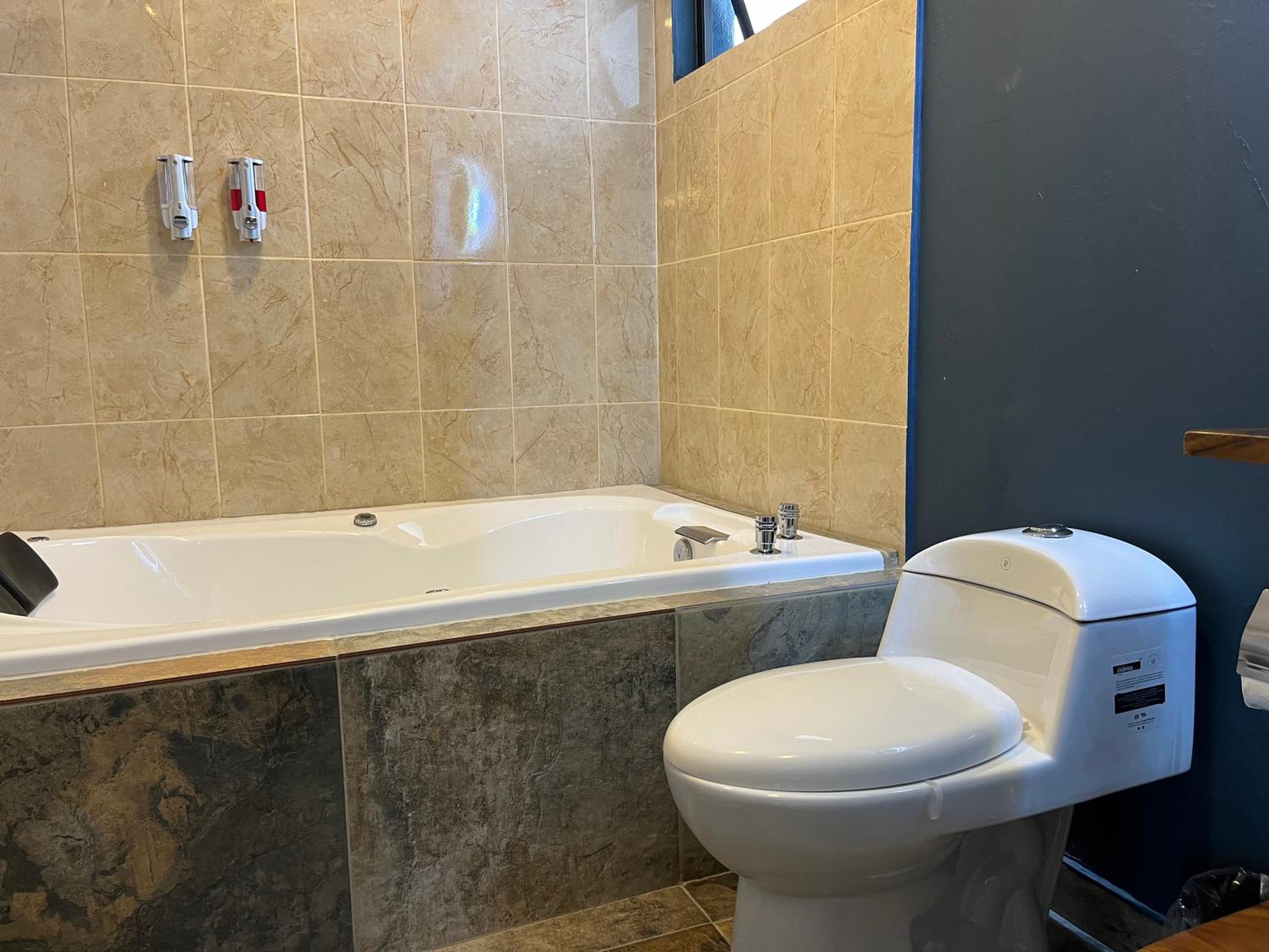 Deluxe Suite with Spa Bath photo 2