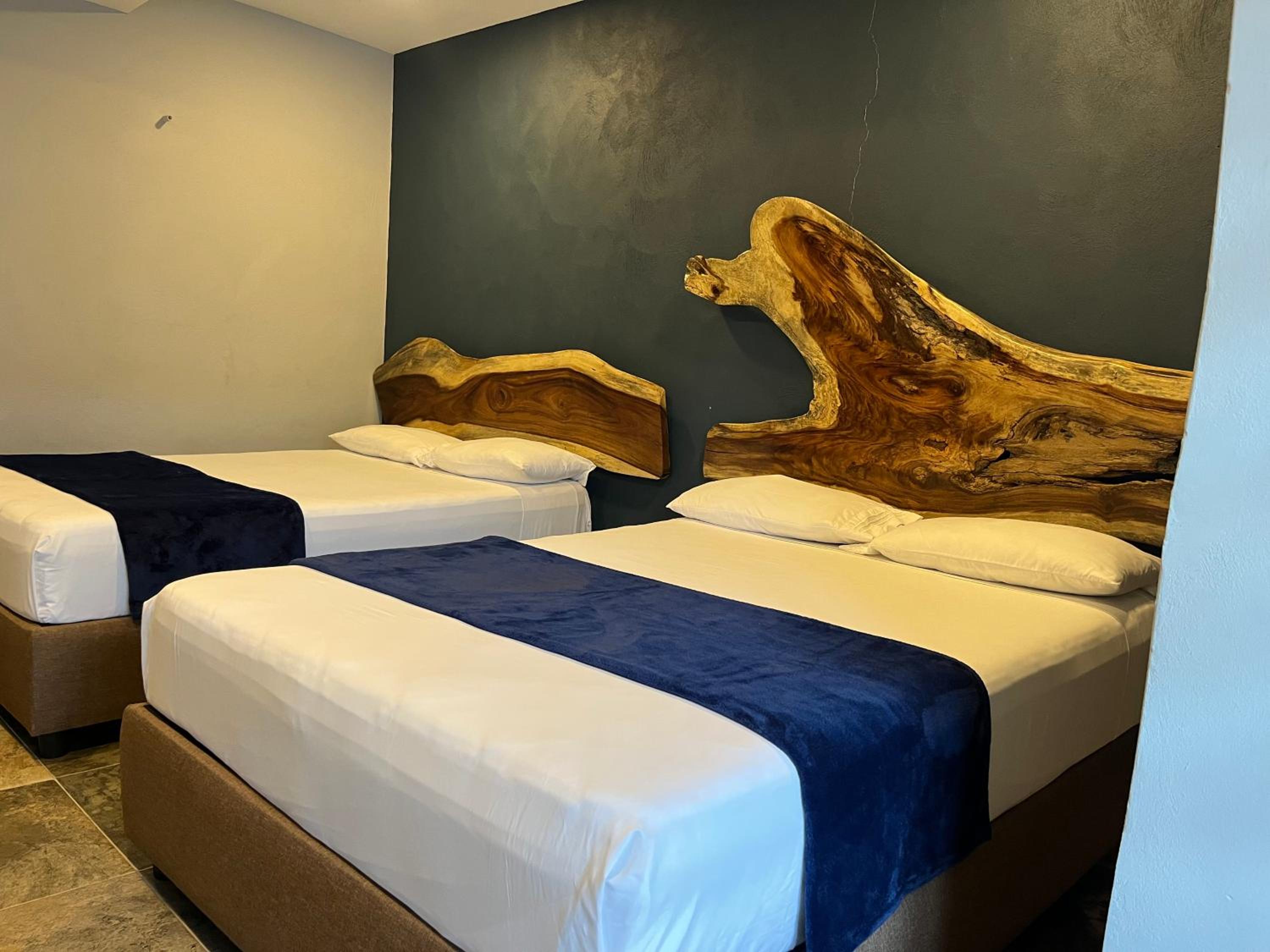 Standard Twin Room photo 3