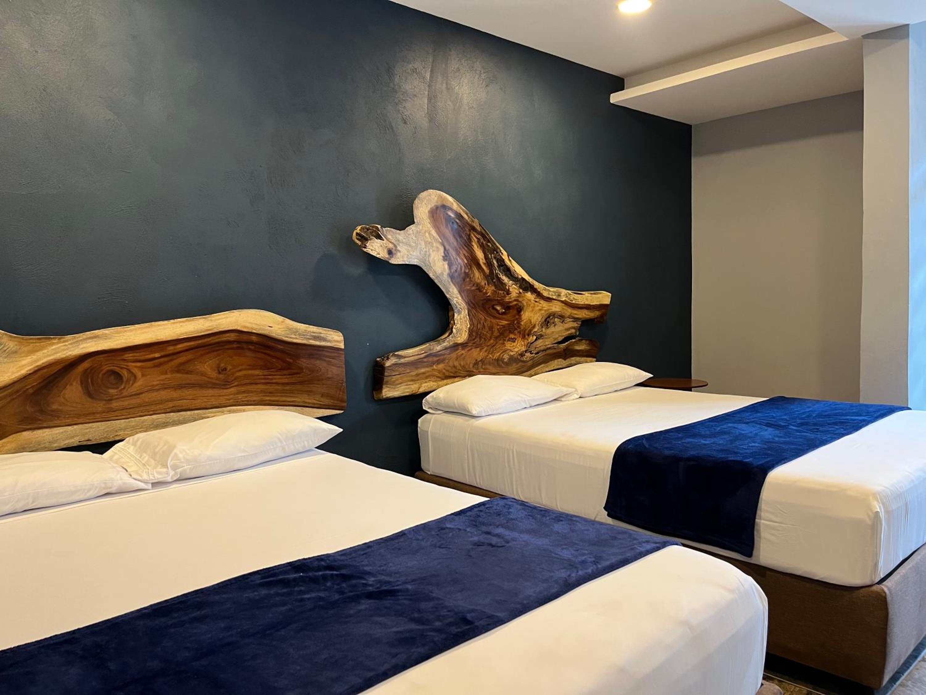 Standard Twin Room photo 1