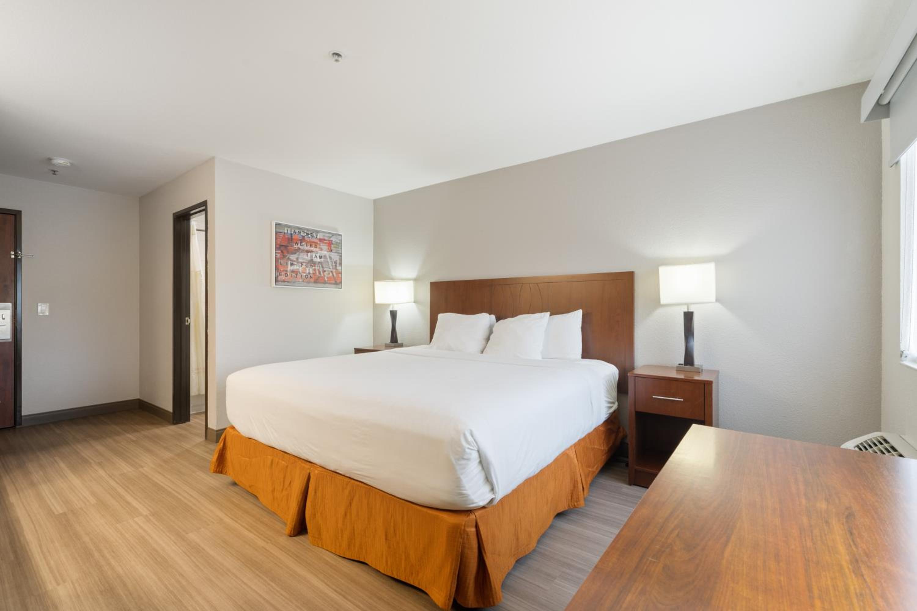 King Room - Non-Smoking - Photo 3