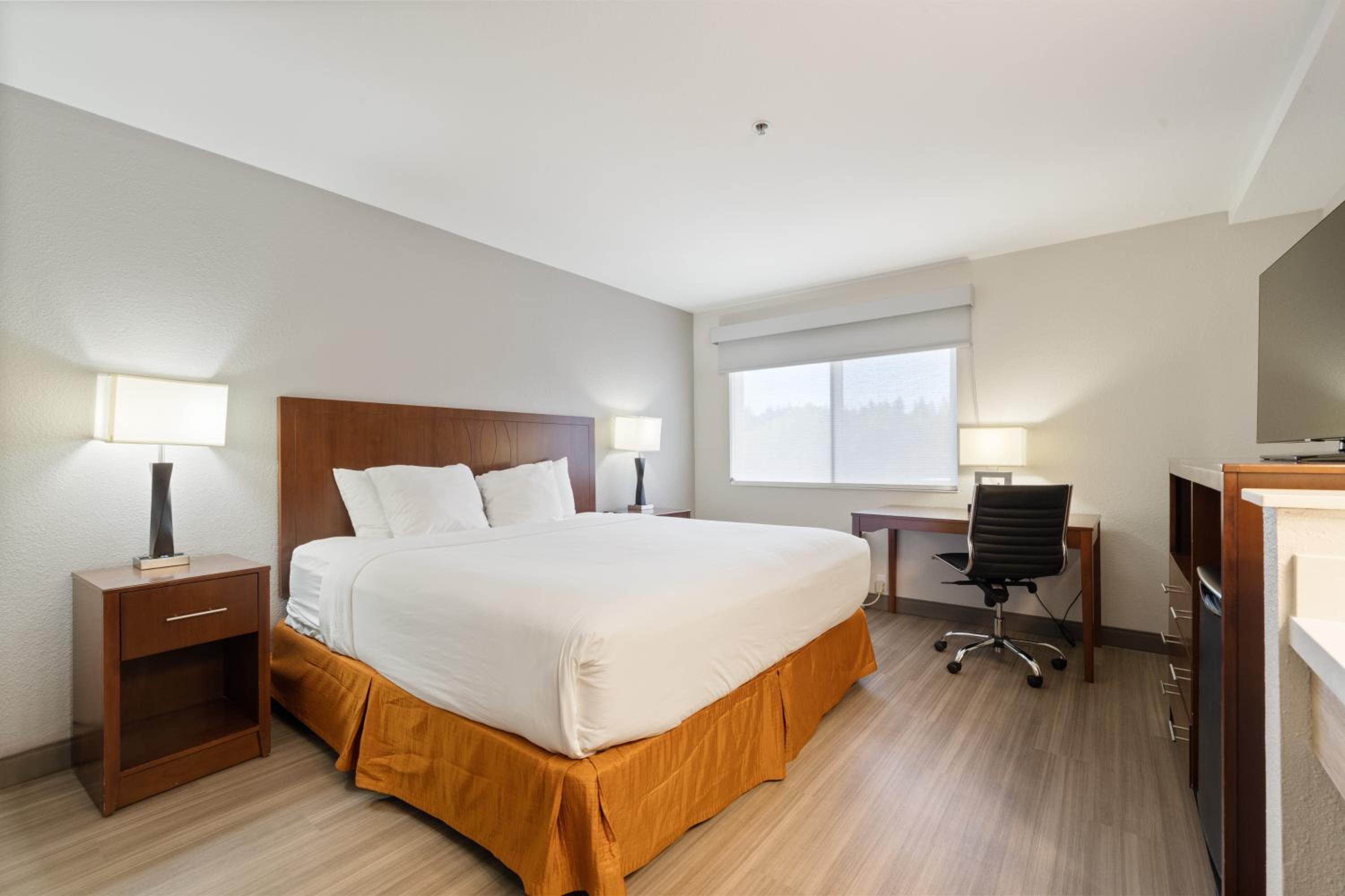 King Room - Non-Smoking - Photo 1