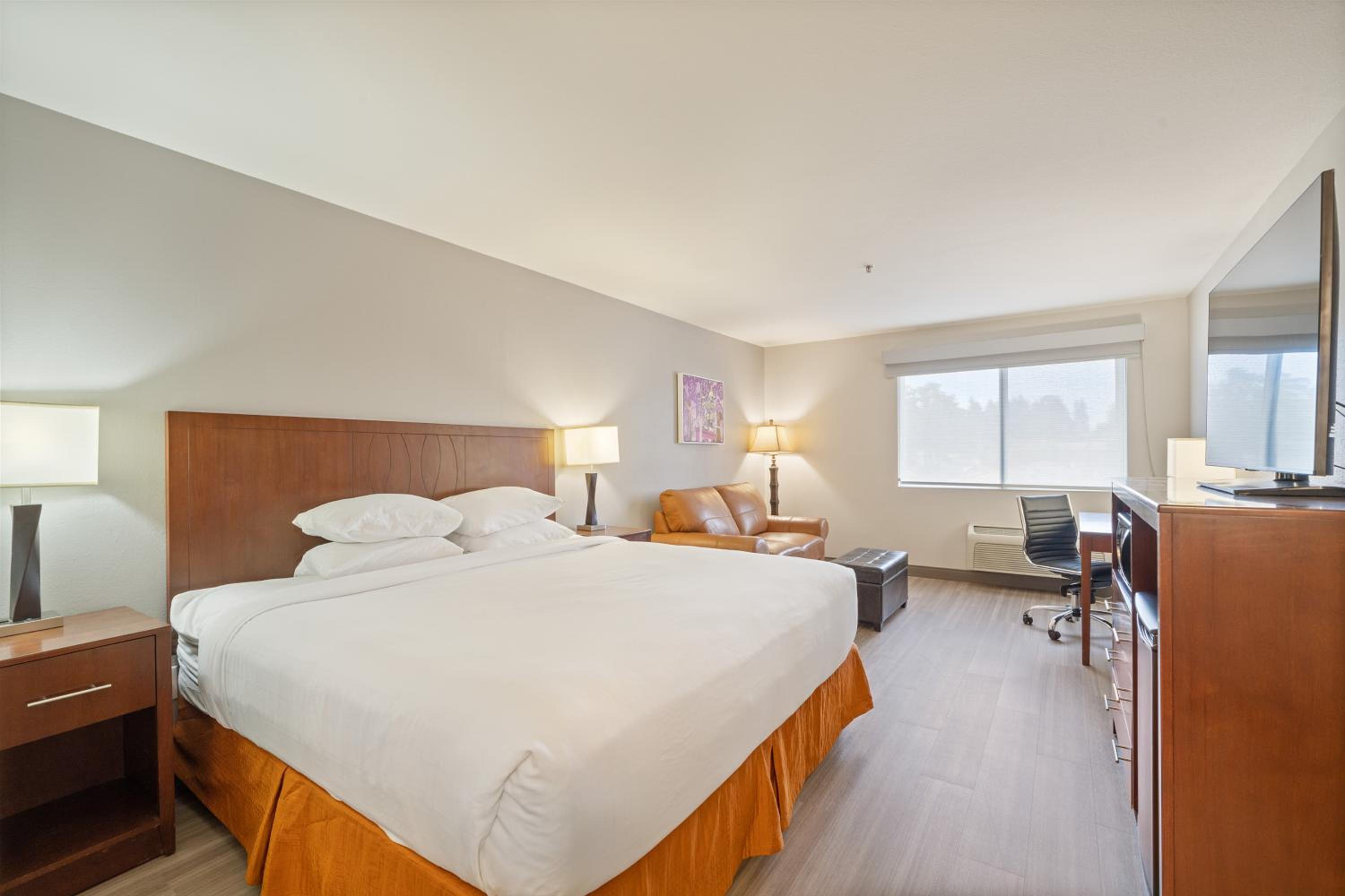King Room with Bath Tub - Communication Assistance/Non-Smoking photo 3