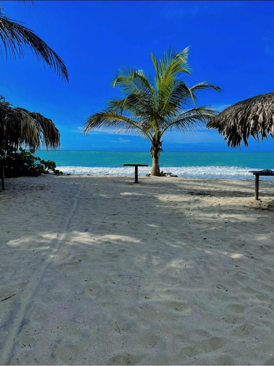 Deluxe Double or Twin Room with Sea View photo 3