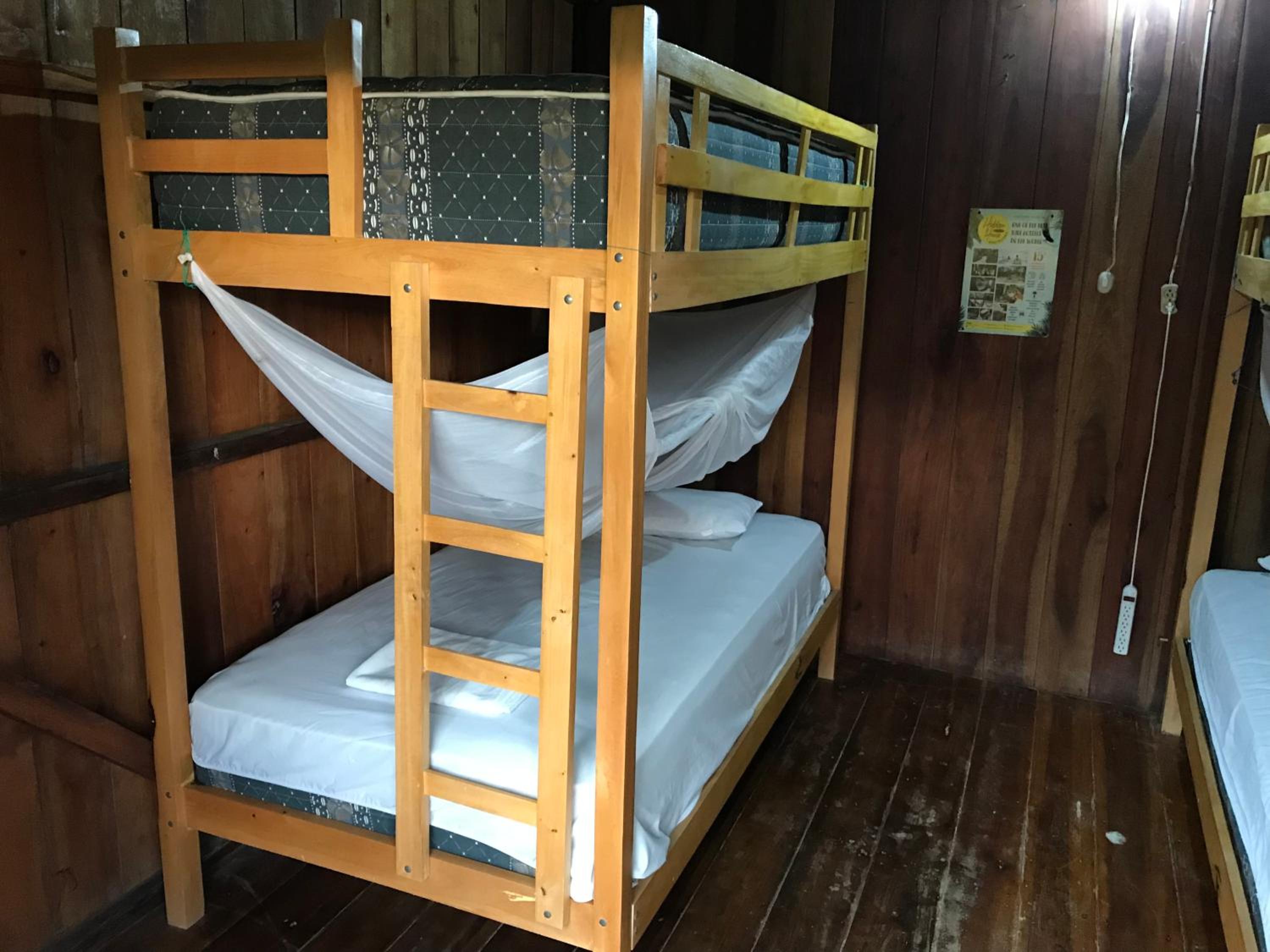 Mixed Dormitory Room photo 1
