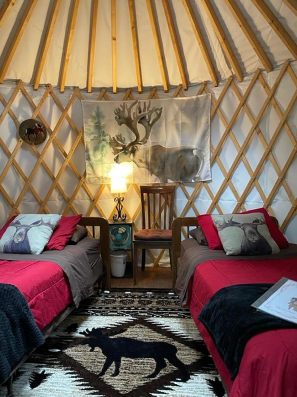 Yurt - Two Single Beds with Shared Bathroom photo 1