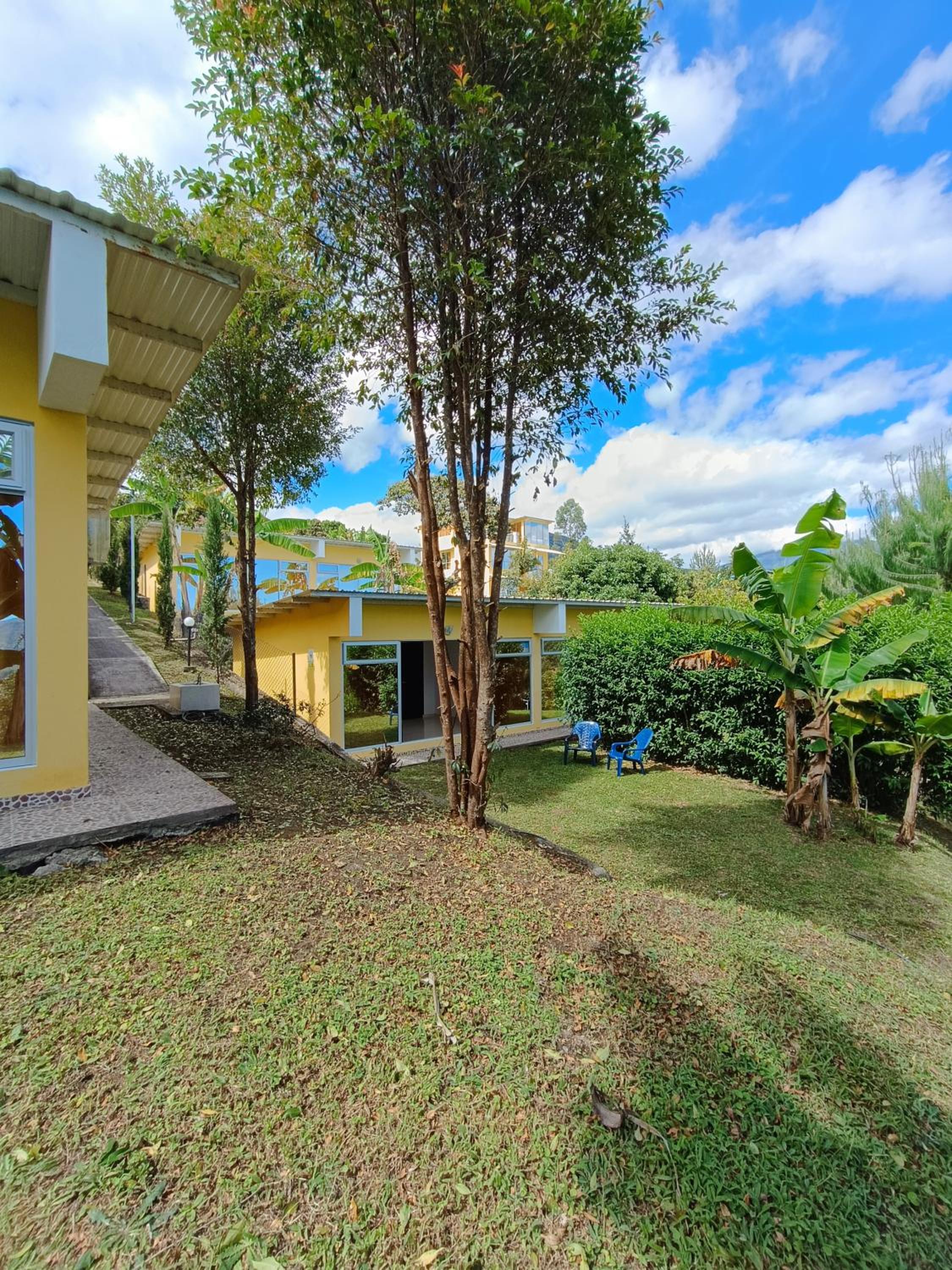 Double Room with Garden View photo 2