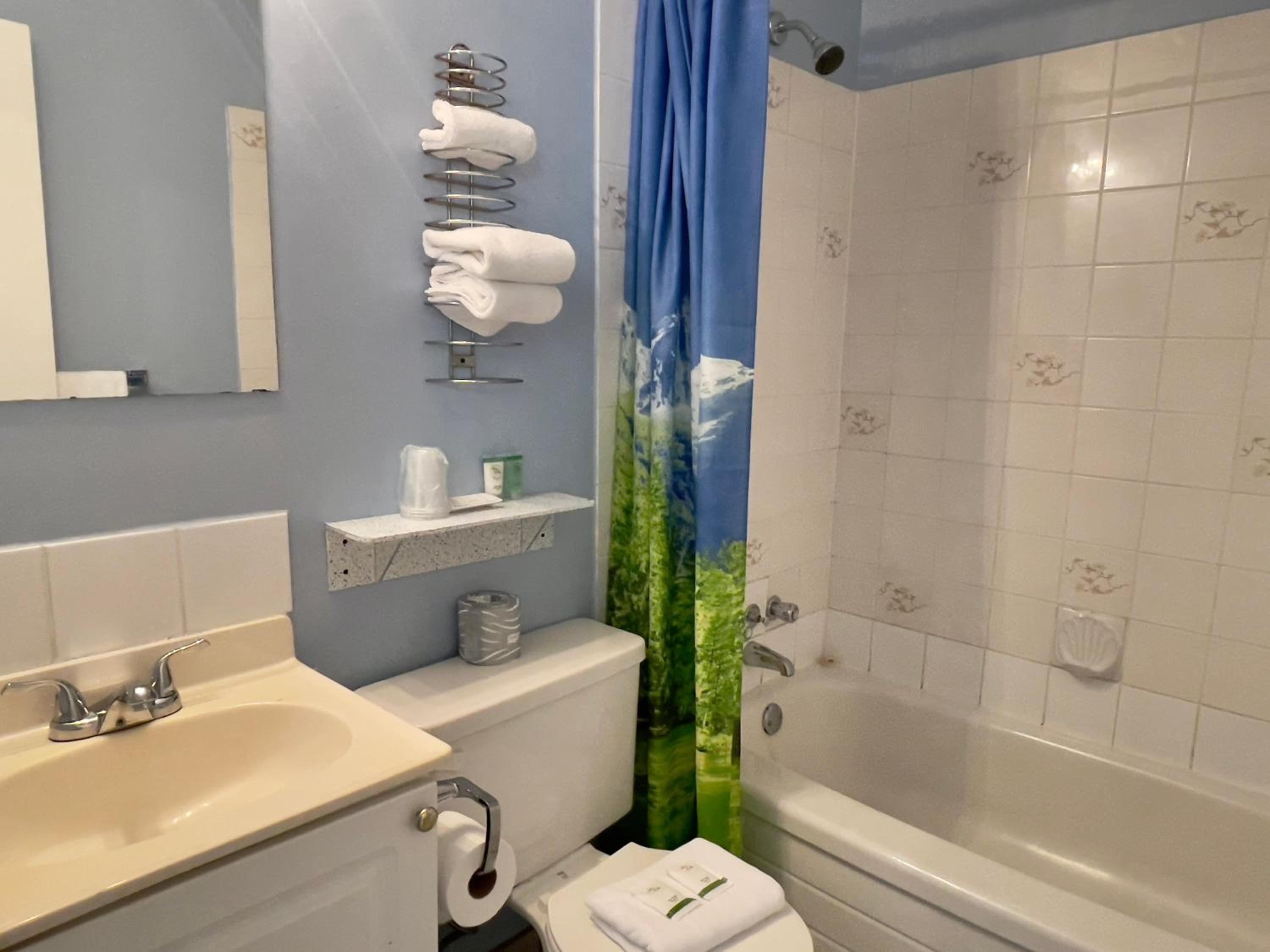 Queen Studio Suite with Kitchenette - Photo 4